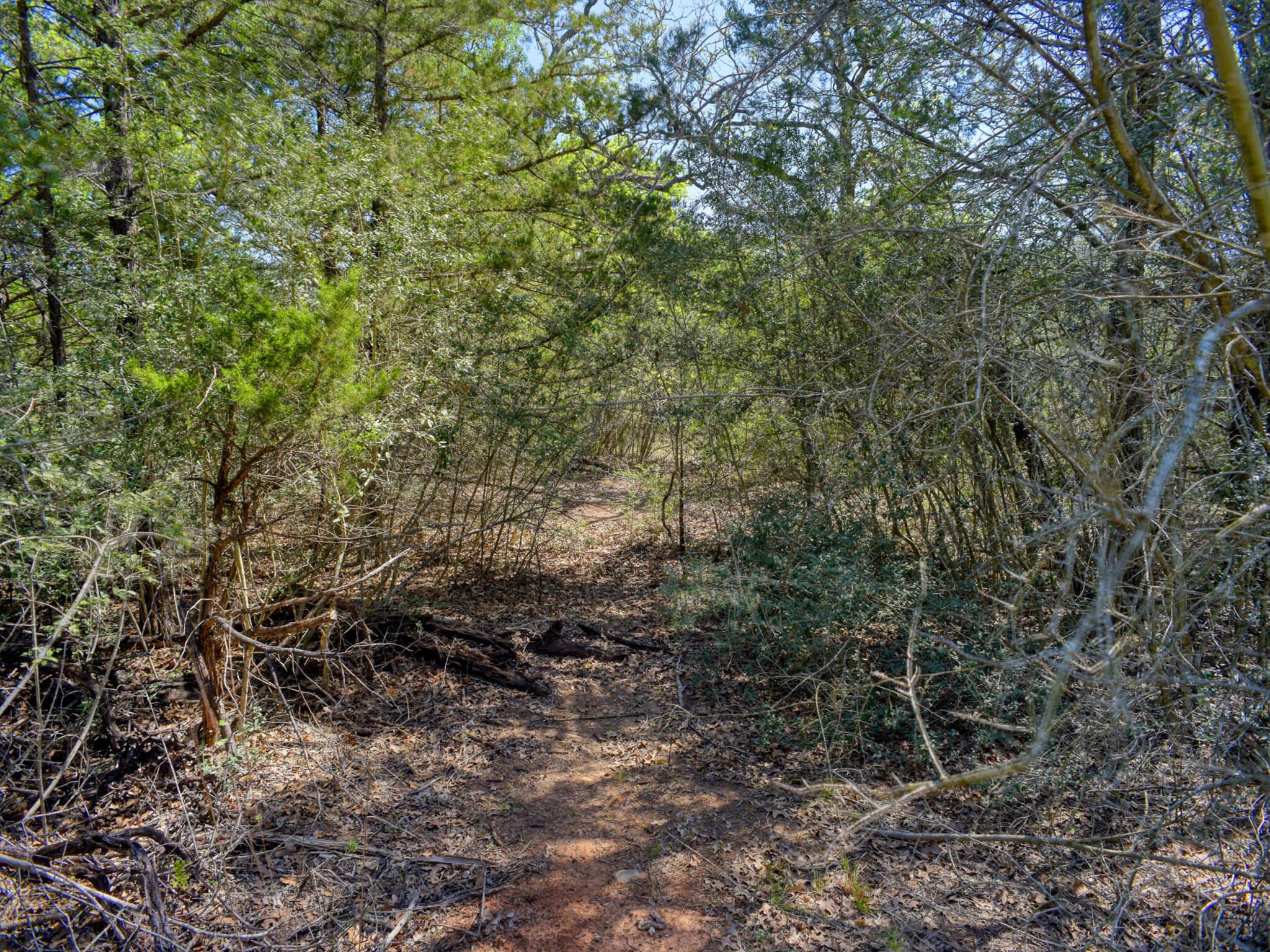 138 Wood Hollow Ct, Bastrop, TX 78602