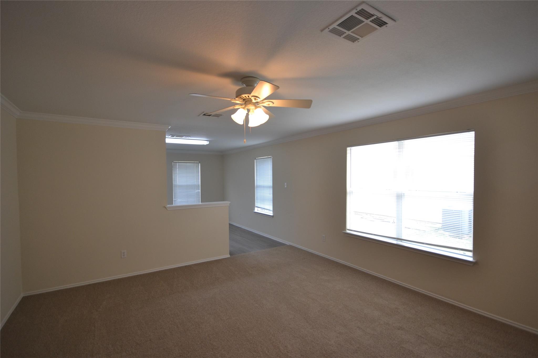 411 Golden Gate Dr, Leander, TX 78641