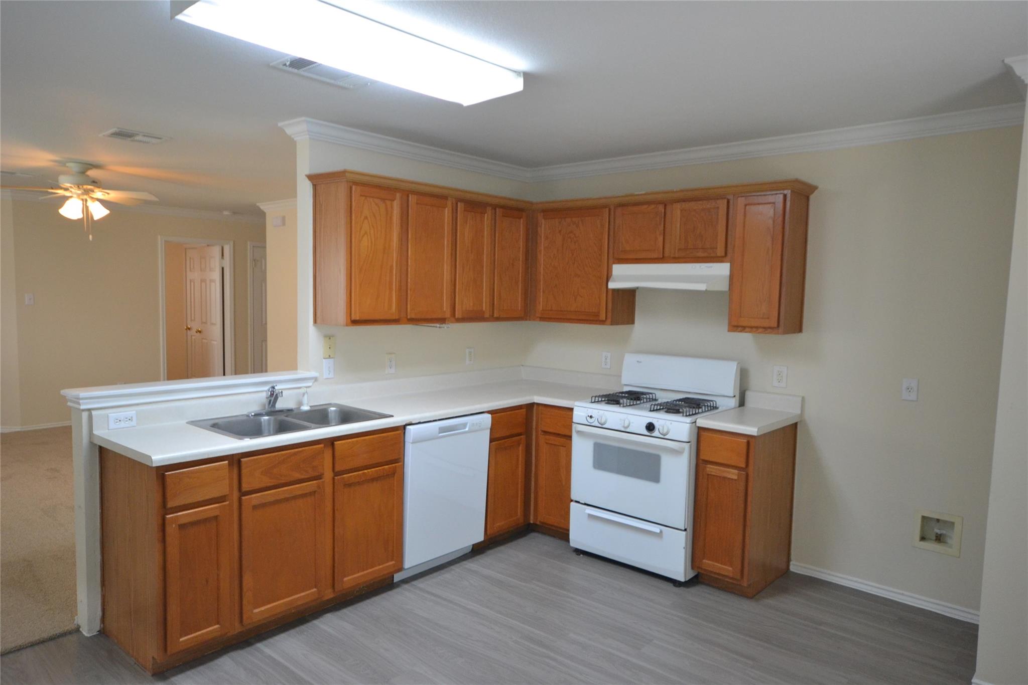 411 Golden Gate Dr, Leander, TX 78641