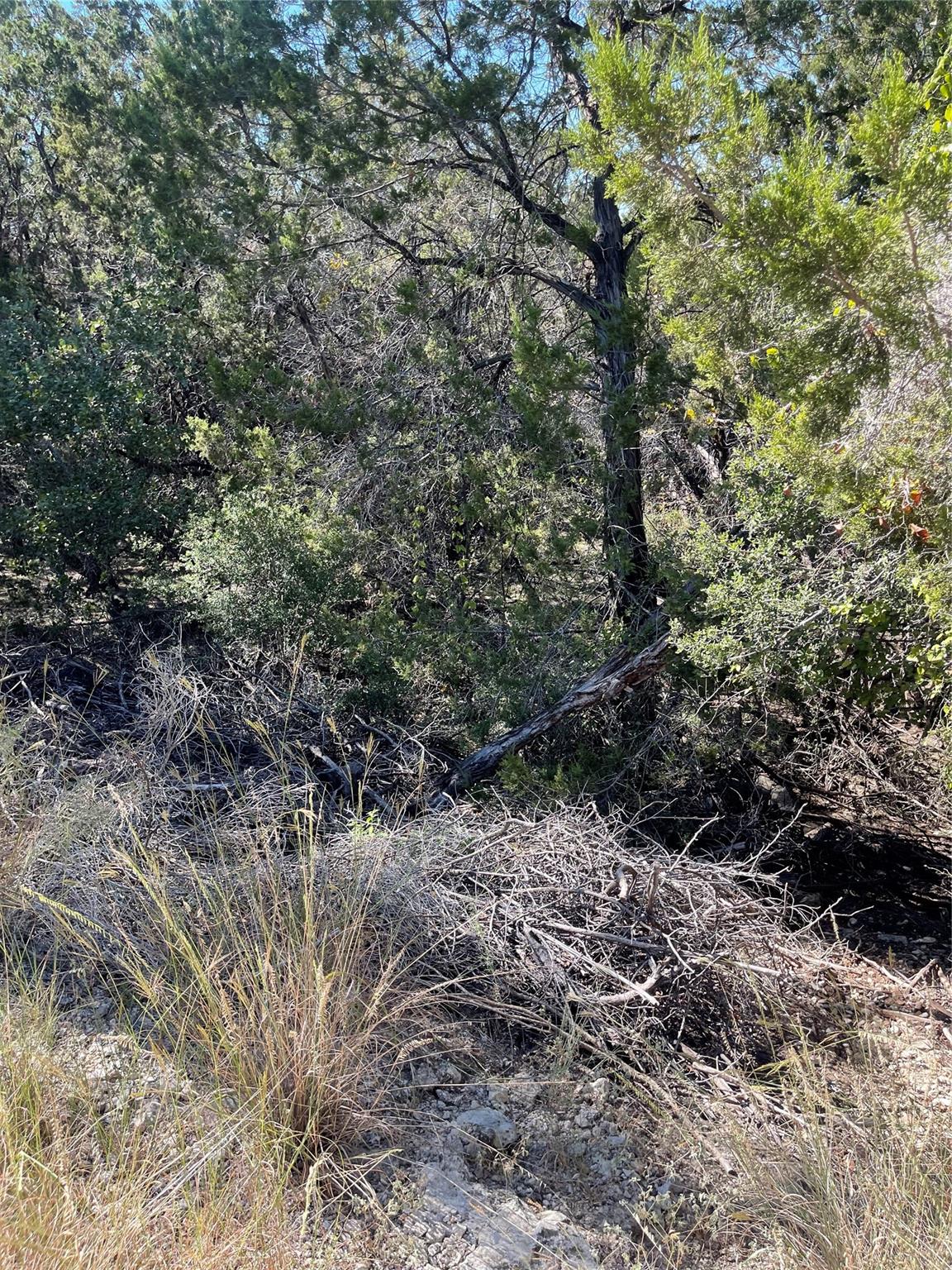 21619 High Dr, Lago Vista, TX 78645