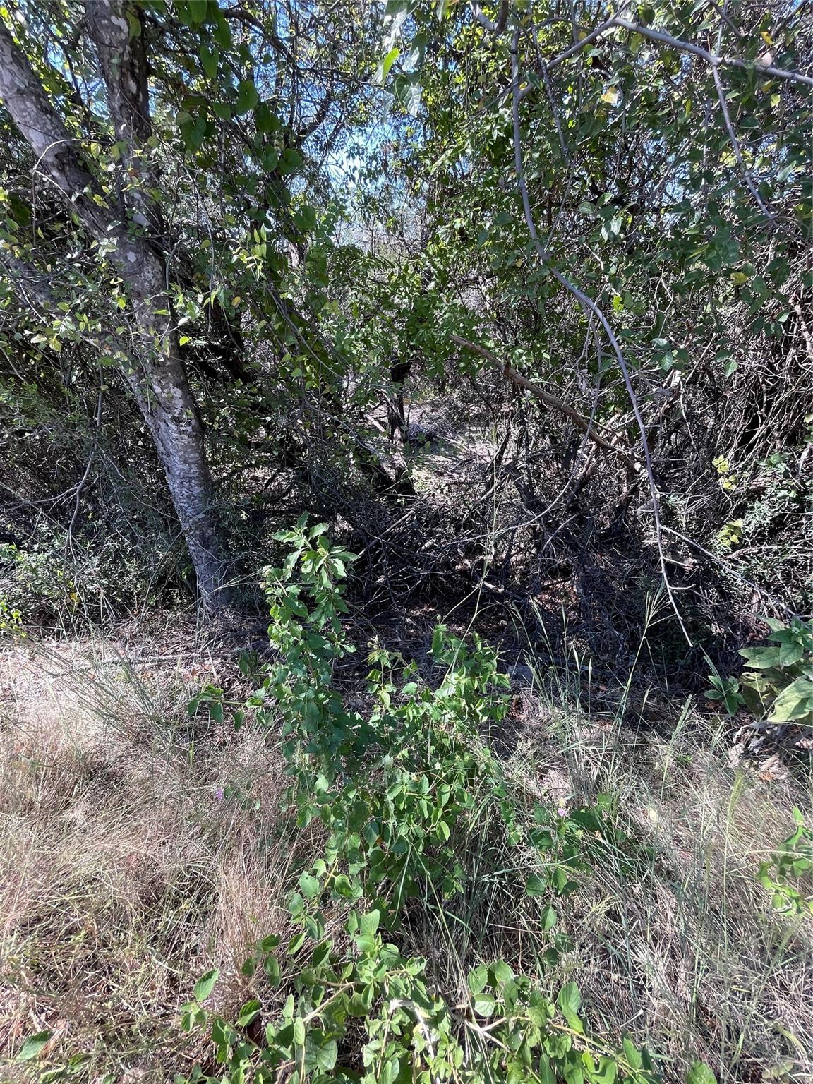 21619 High Dr, Lago Vista, TX 78645