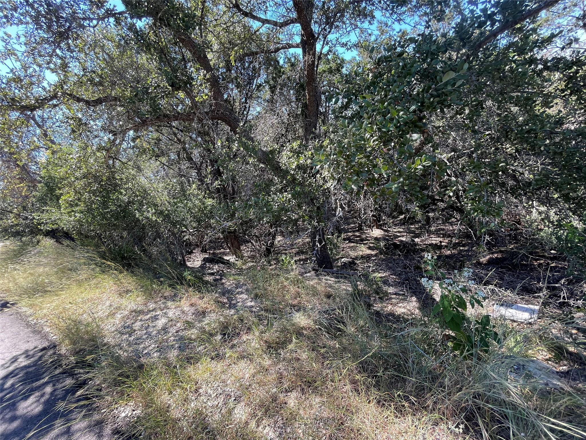 21619 High Dr, Lago Vista, TX 78645