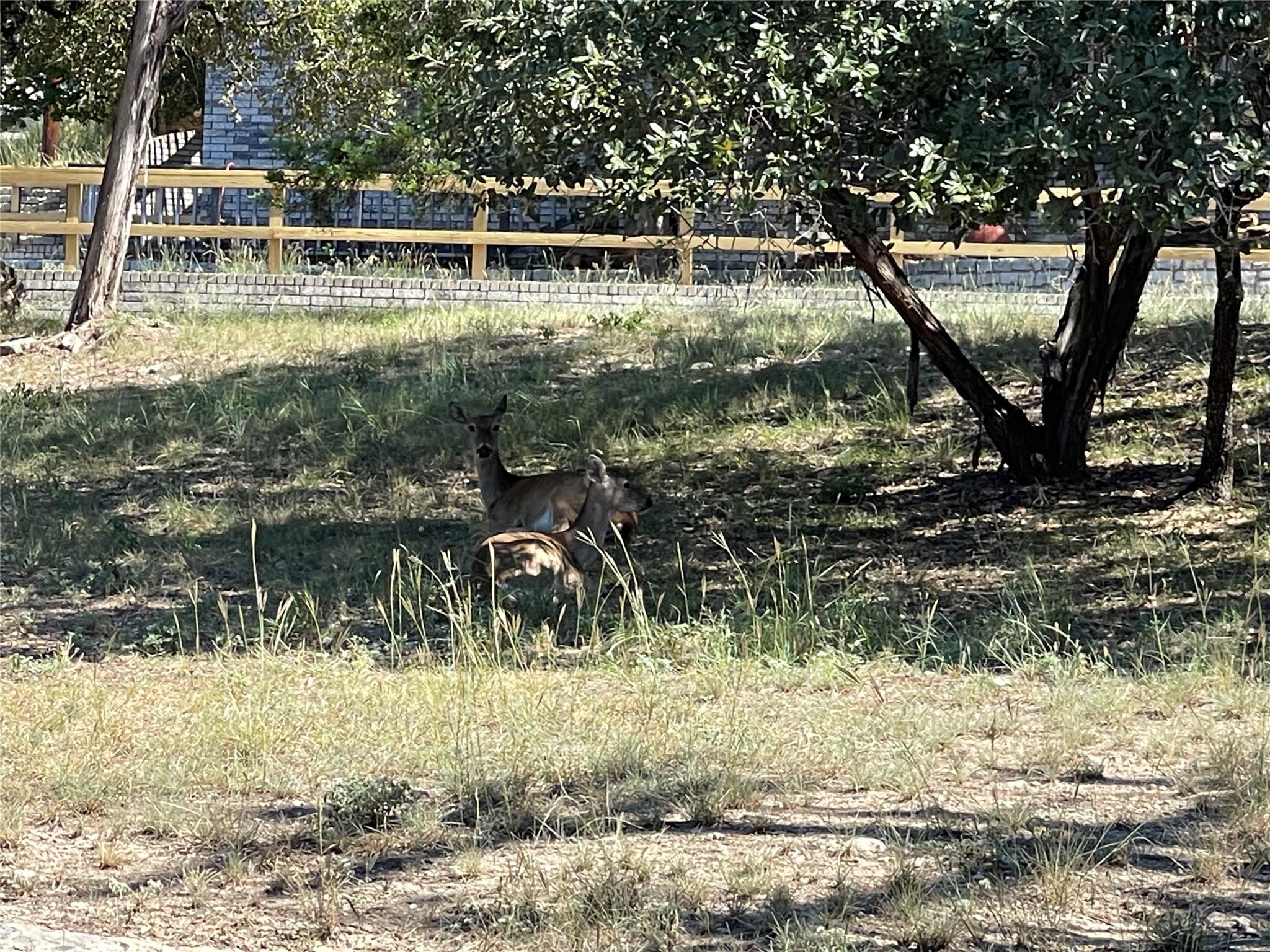 21619 High Dr, Lago Vista, TX 78645