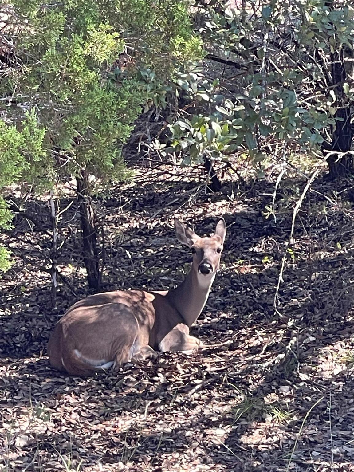 21619 High Dr, Lago Vista, TX 78645