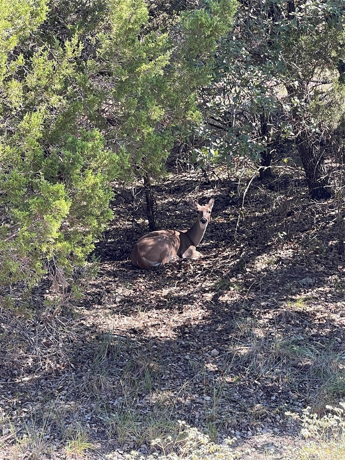 21619 High Dr, Lago Vista, TX 78645