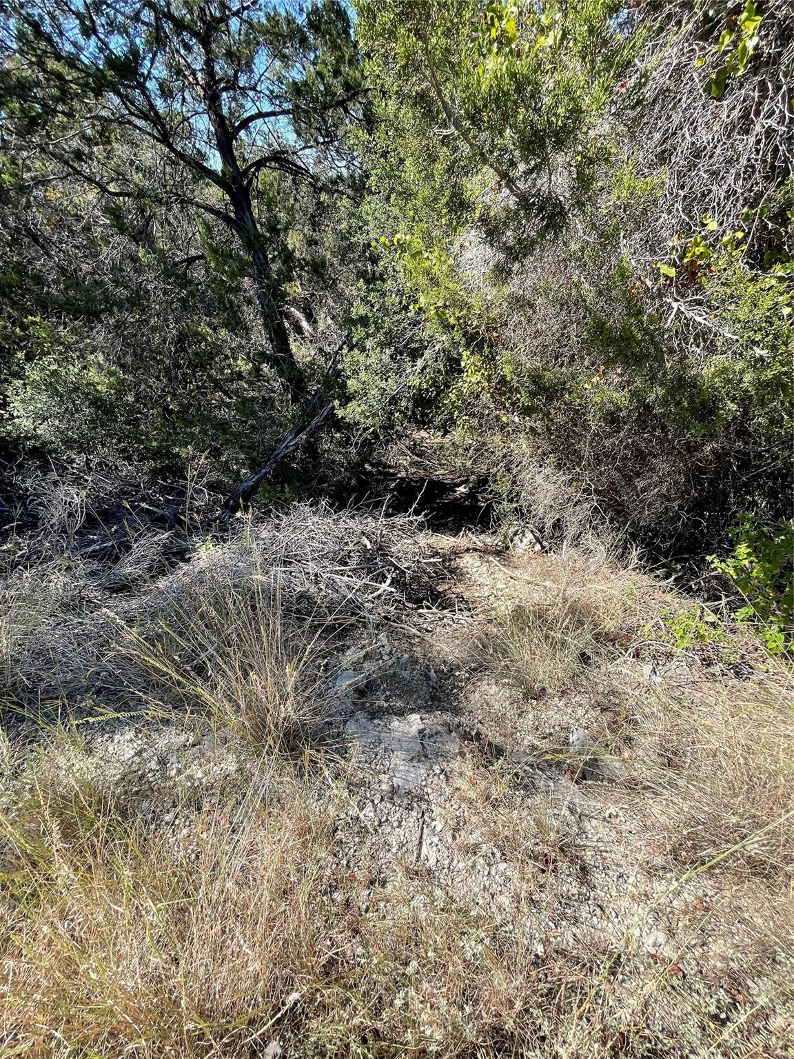 21619 High Dr, Lago Vista, TX 78645