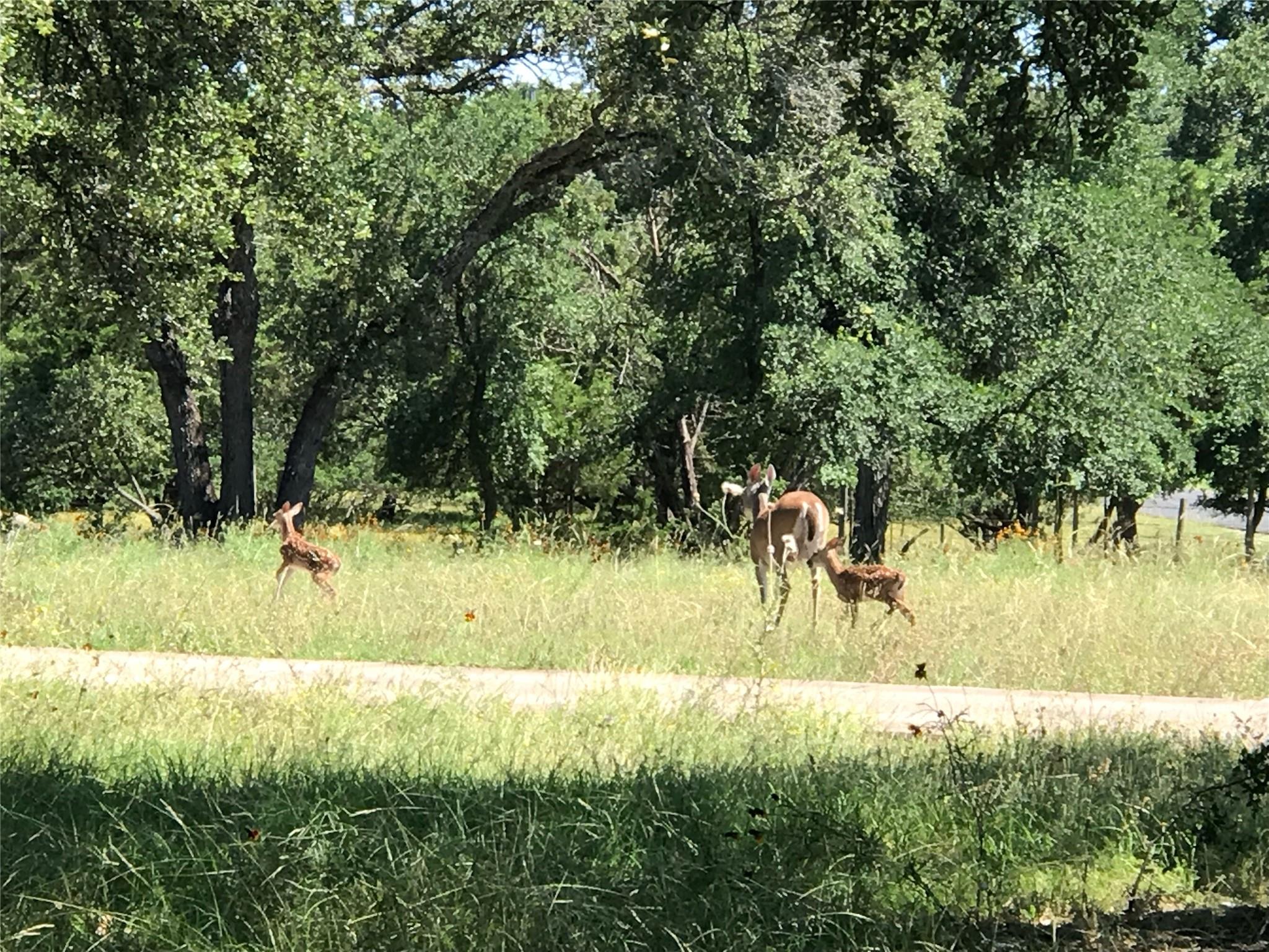 280 Sunset Ter, Cedar Park, TX 78613