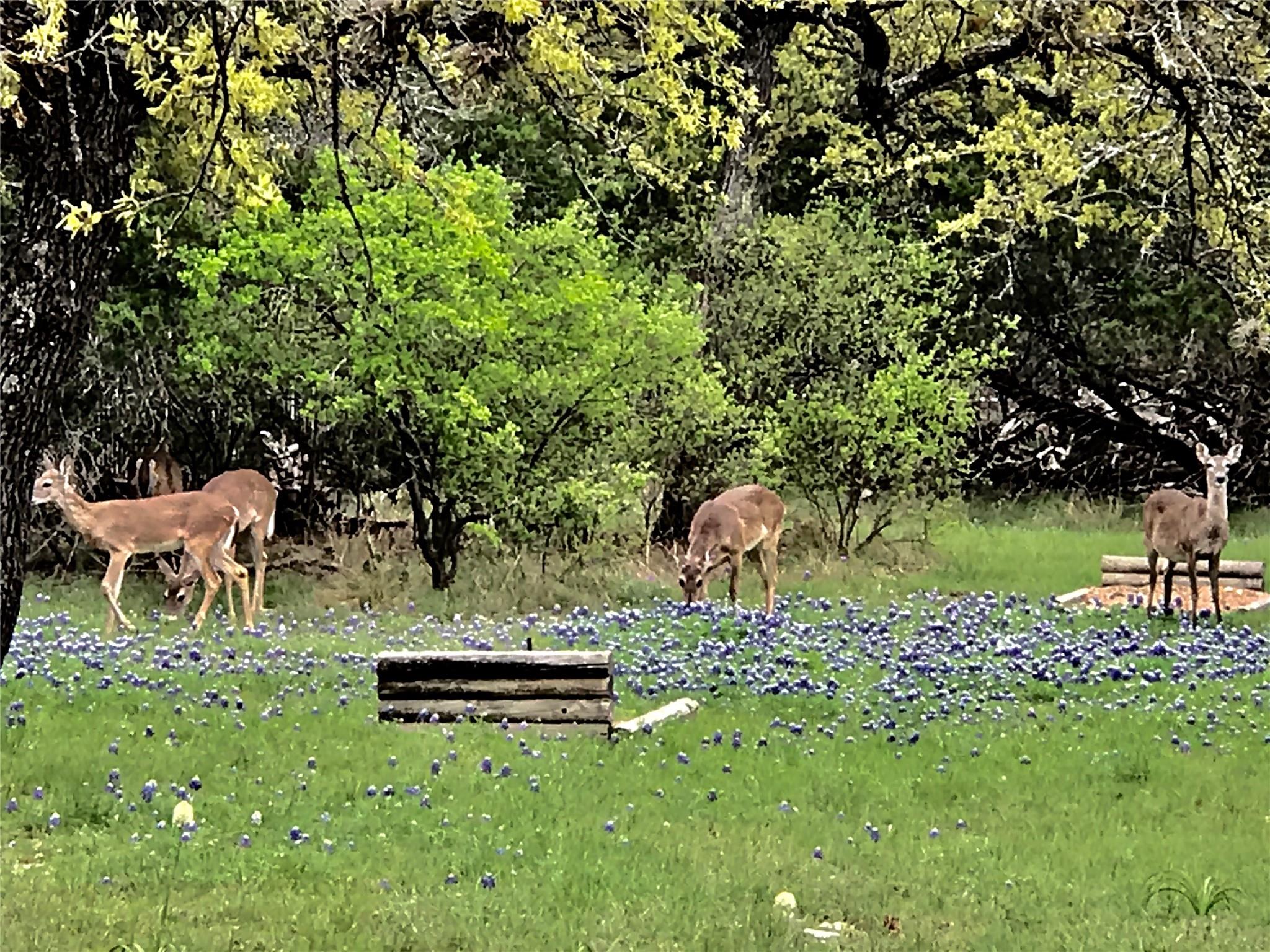 280 Sunset Ter, Cedar Park, TX 78613