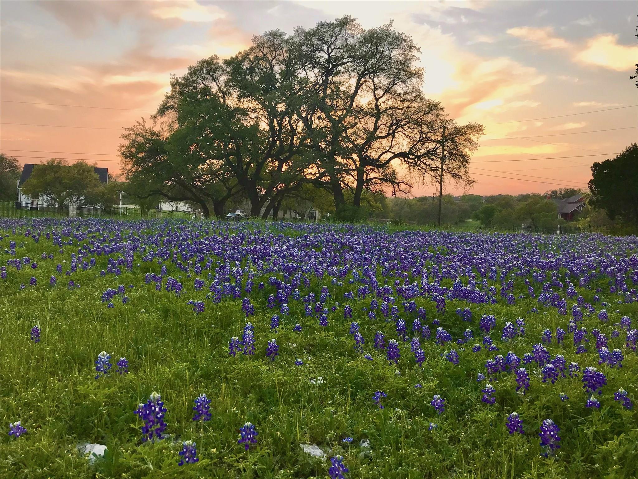 280 Sunset Ter, Cedar Park, TX 78613