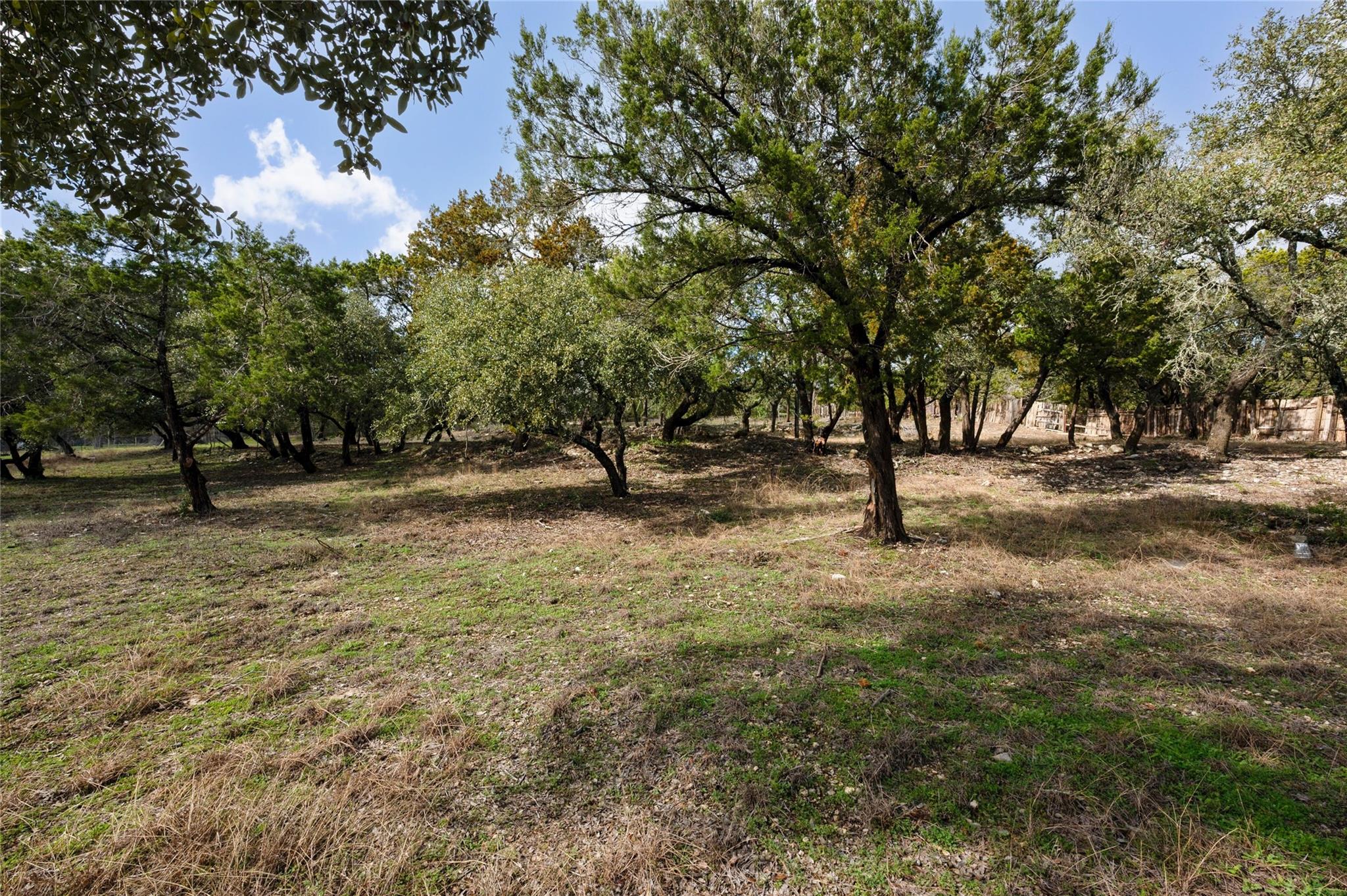 9805 Ledgestone Ter, Austin, TX 78737