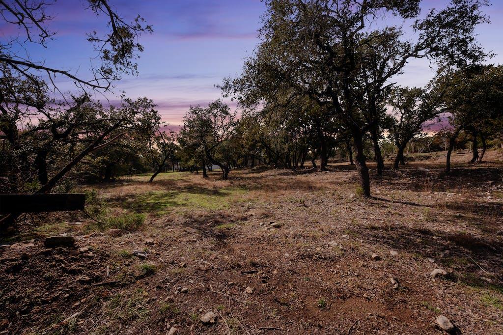 9805 Ledgestone Ter, Austin, TX 78737