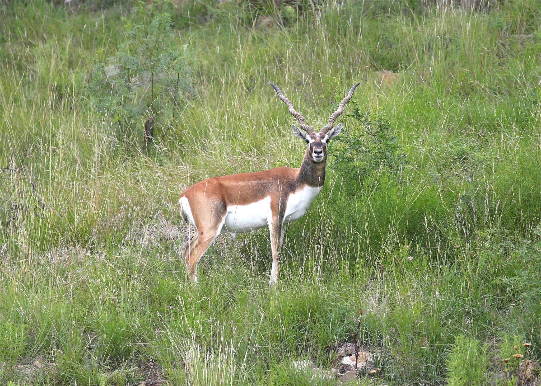 717 Puerto Rico Dr, Wimberley, TX 78676