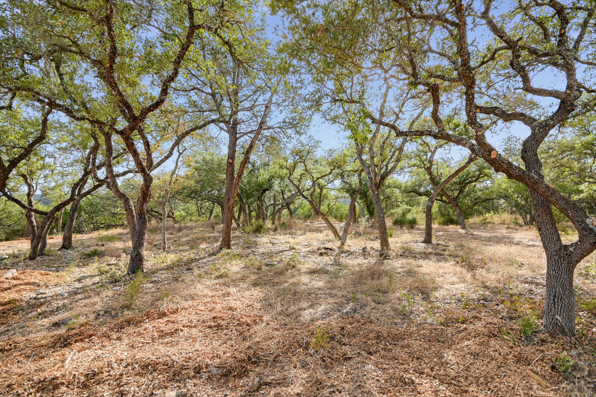 717 Puerto Rico Dr, Wimberley, TX 78676