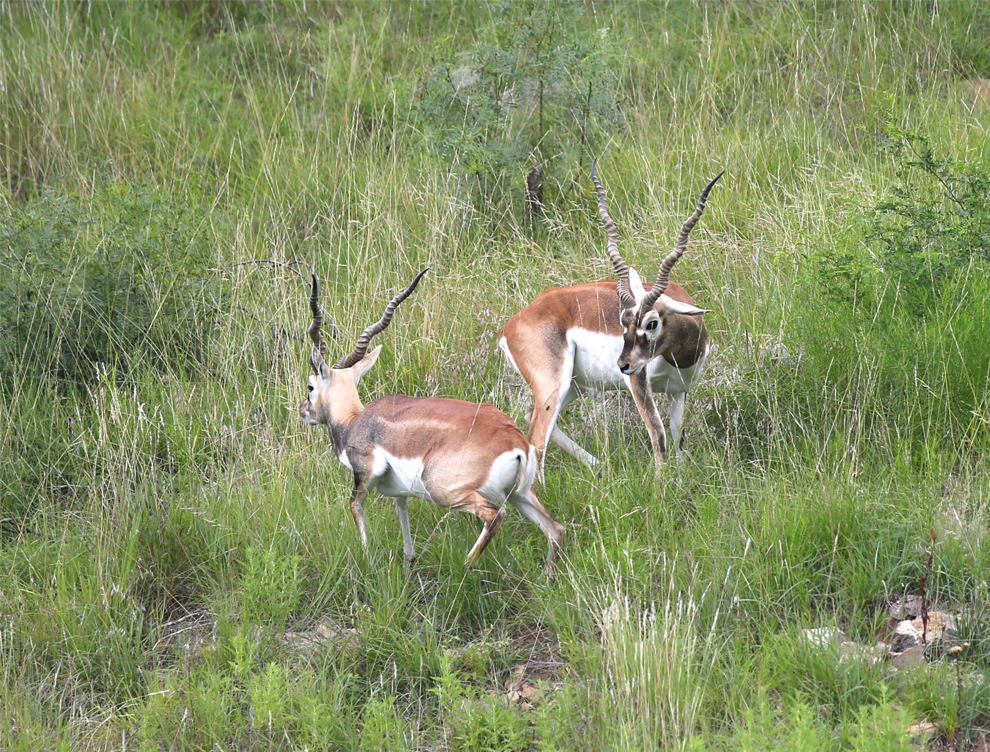 717 Puerto Rico Dr, Wimberley, TX 78676