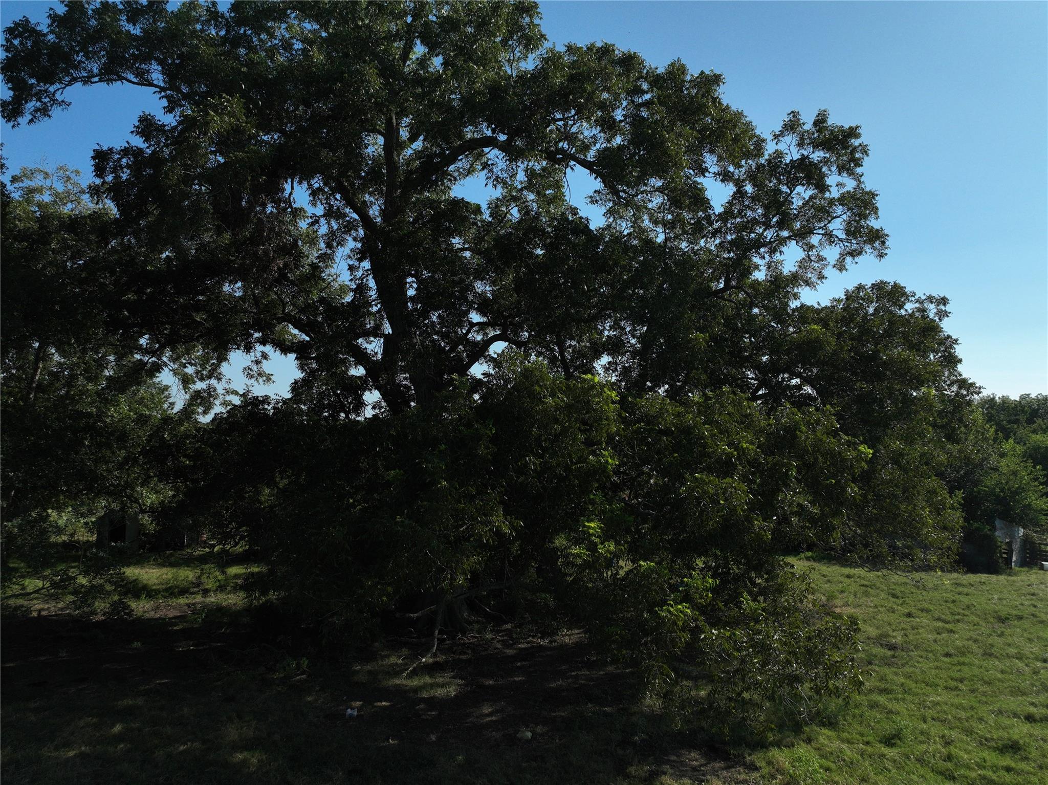 TBD Lot 6 Randermann Rd, Brenham, TX 77833