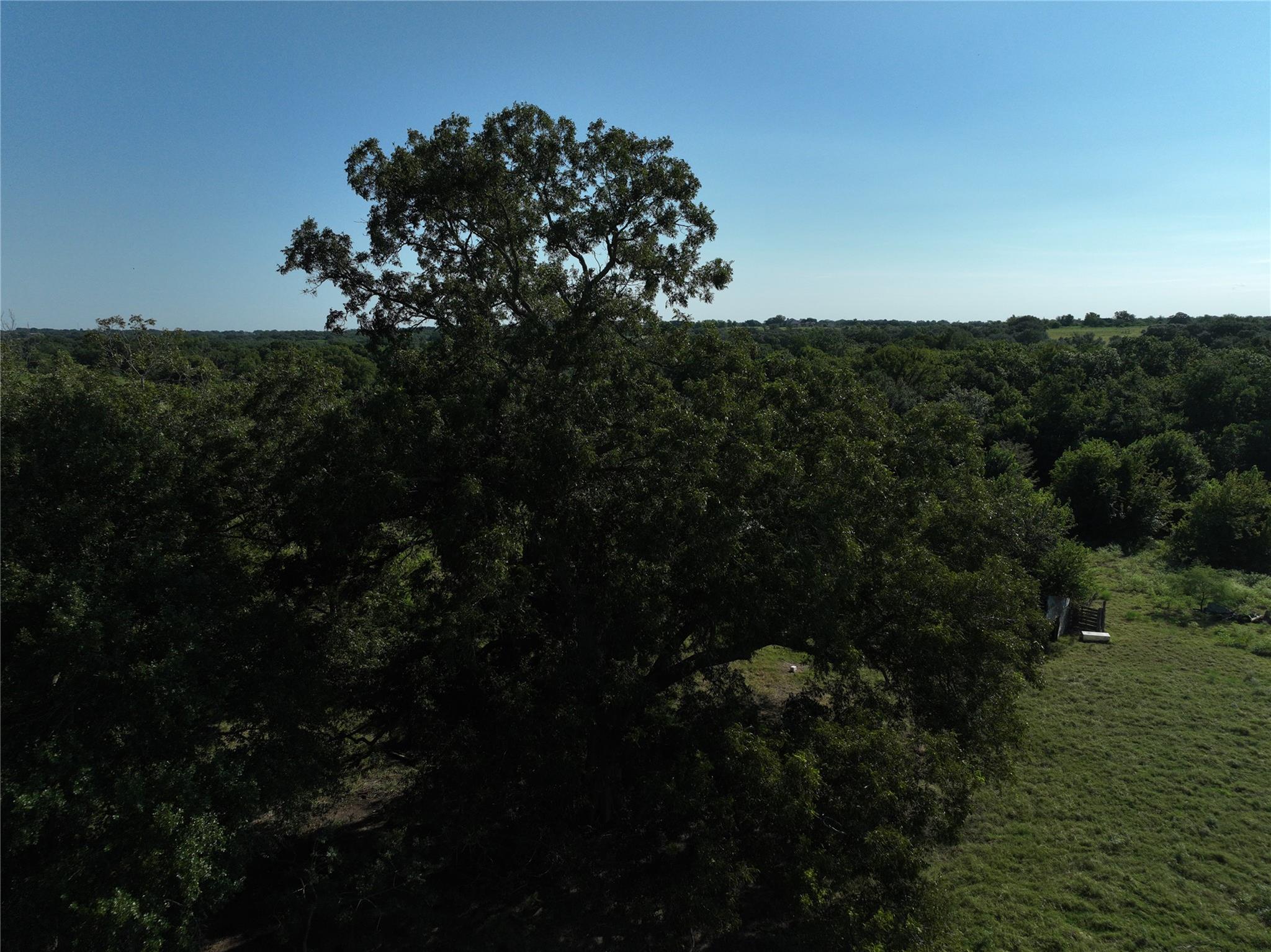 TBD Lot 6 Randermann Rd, Brenham, TX 77833
