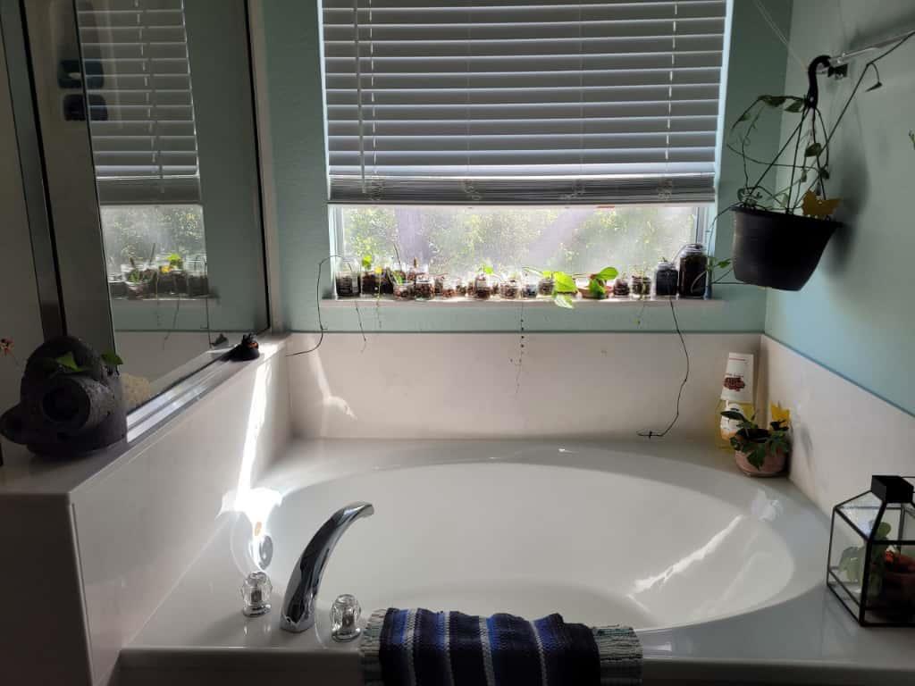 11901 Buzz Schneider Ln, Austin, TX 78748