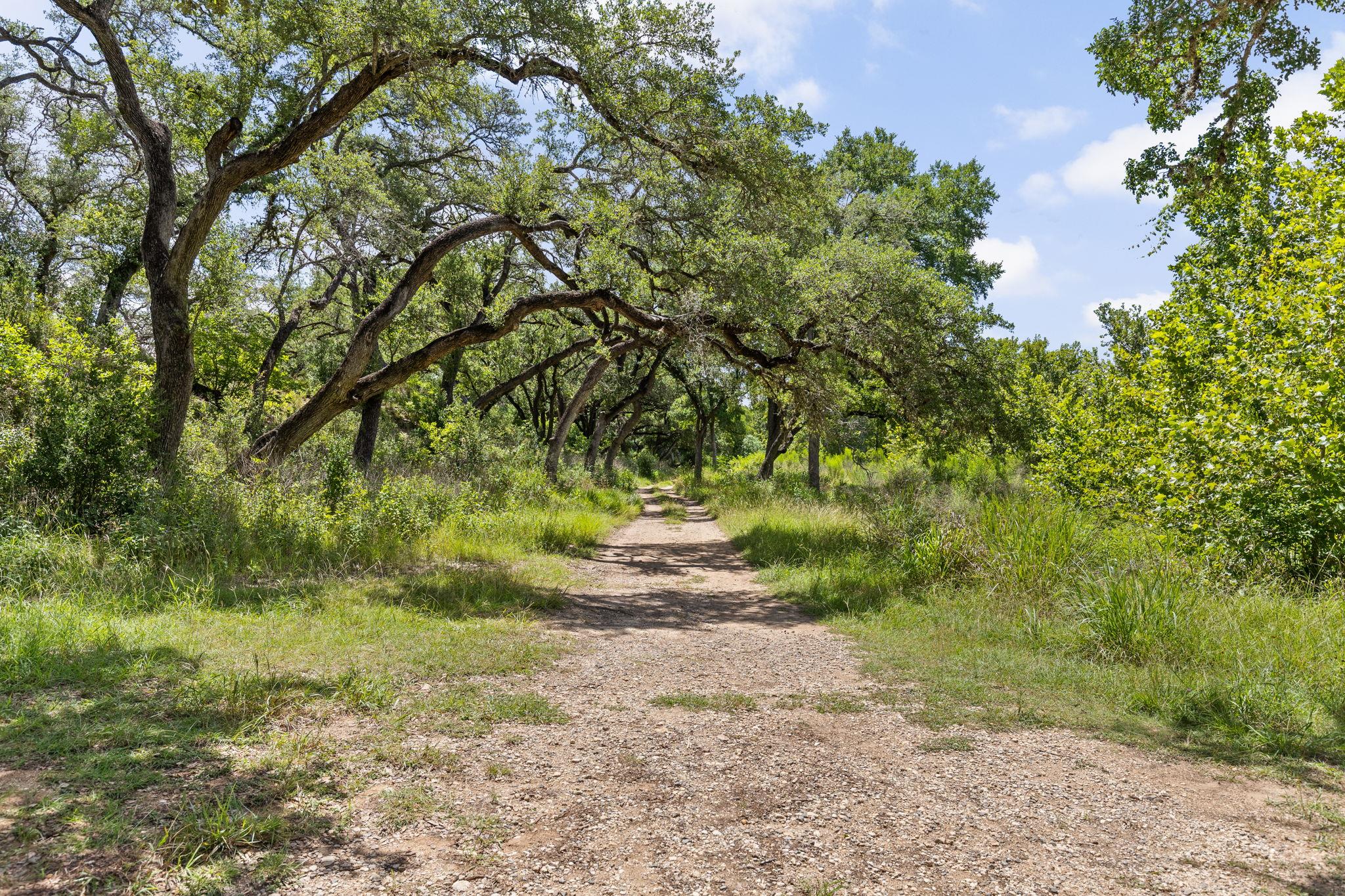 1080 Pink Granite Blvd, Dripping Springs, TX 78620