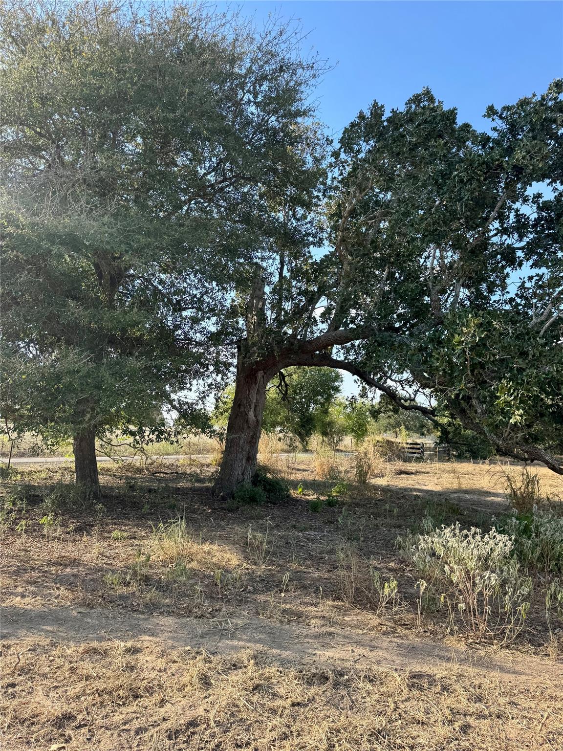 127 Hall Rd, Luling, TX 78648