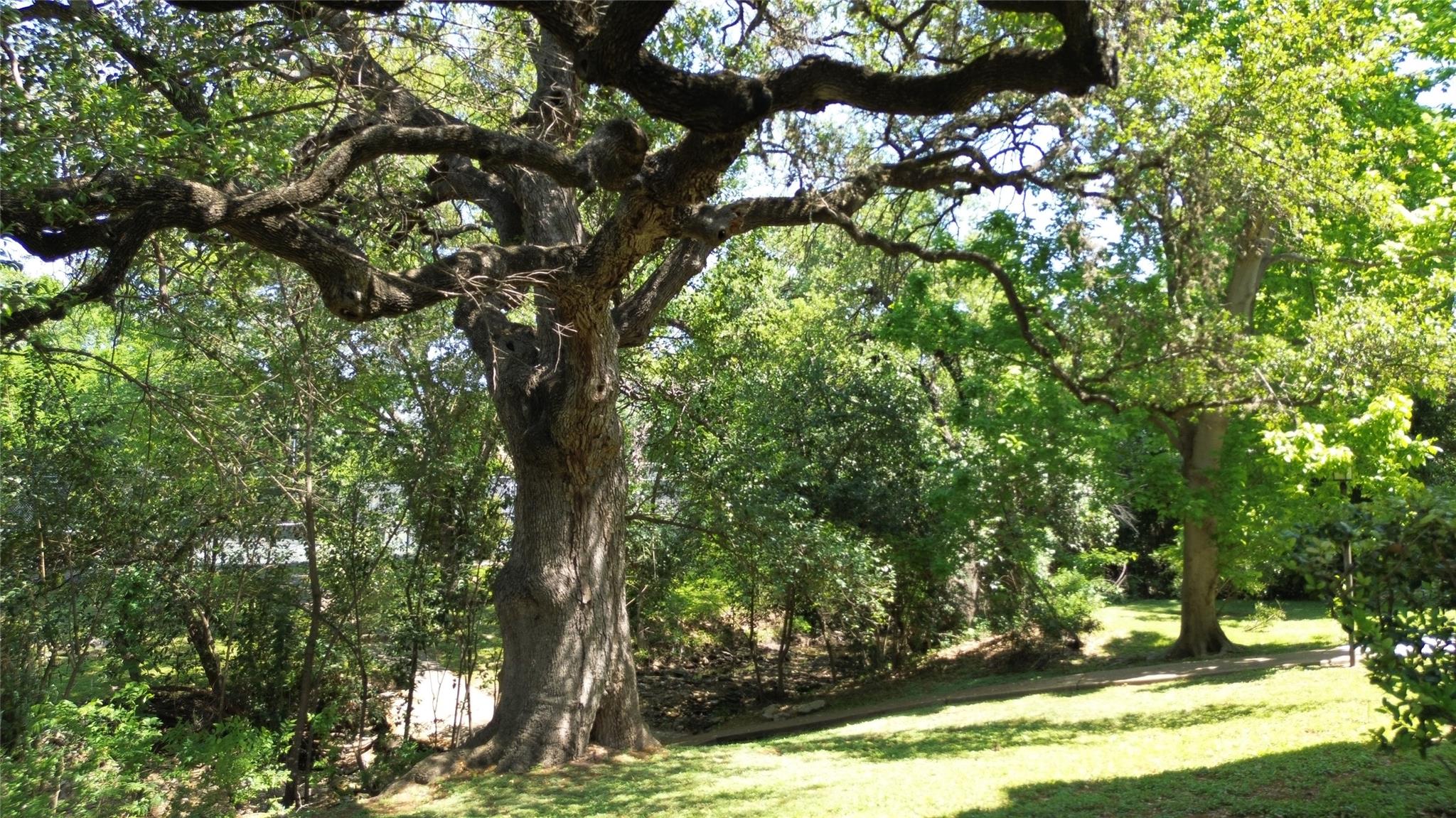 1510 W North Loop Blvd # 412, Austin, TX 78756