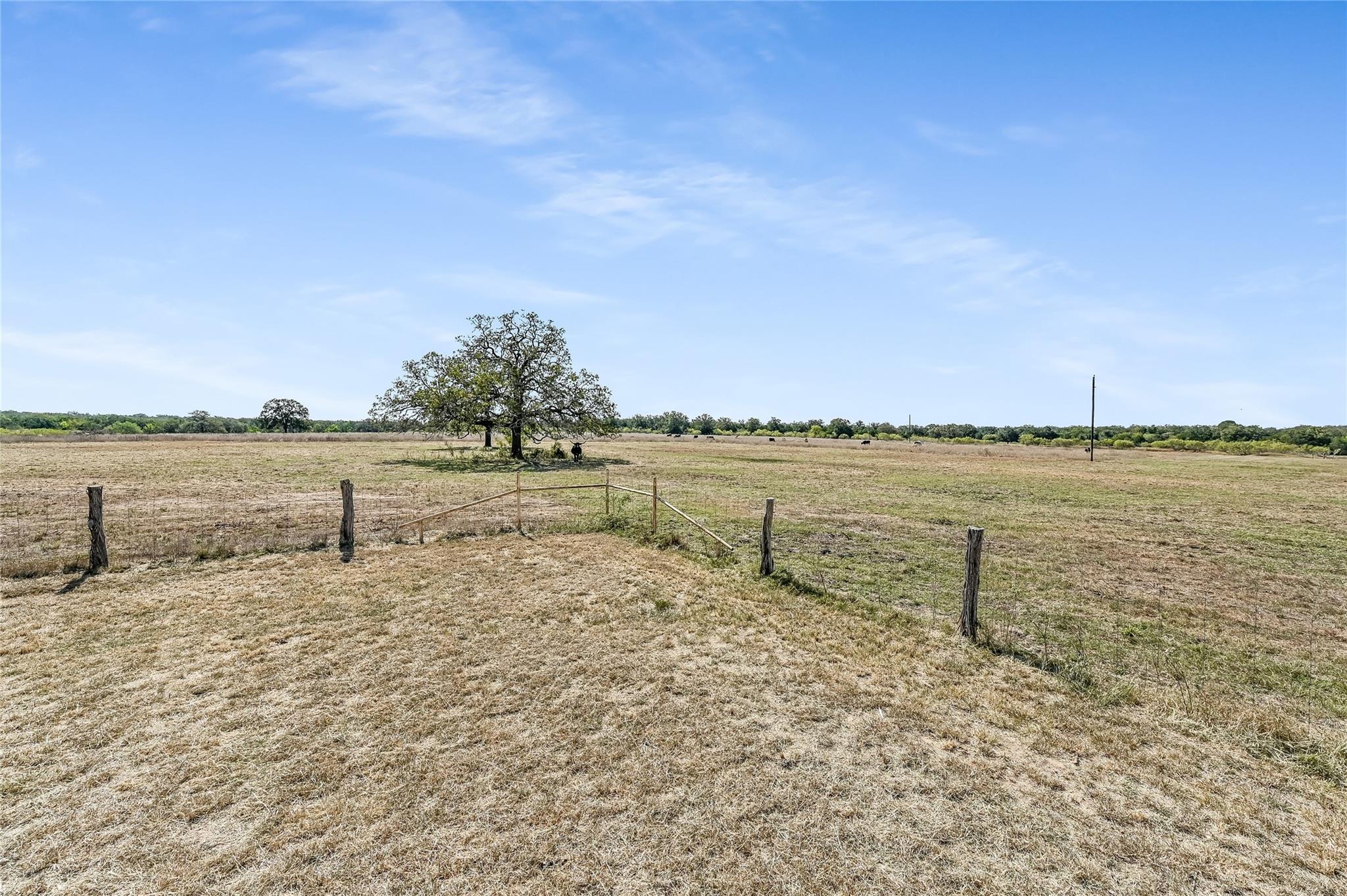 5637 Jeddo Rd, Waelder, TX 78959