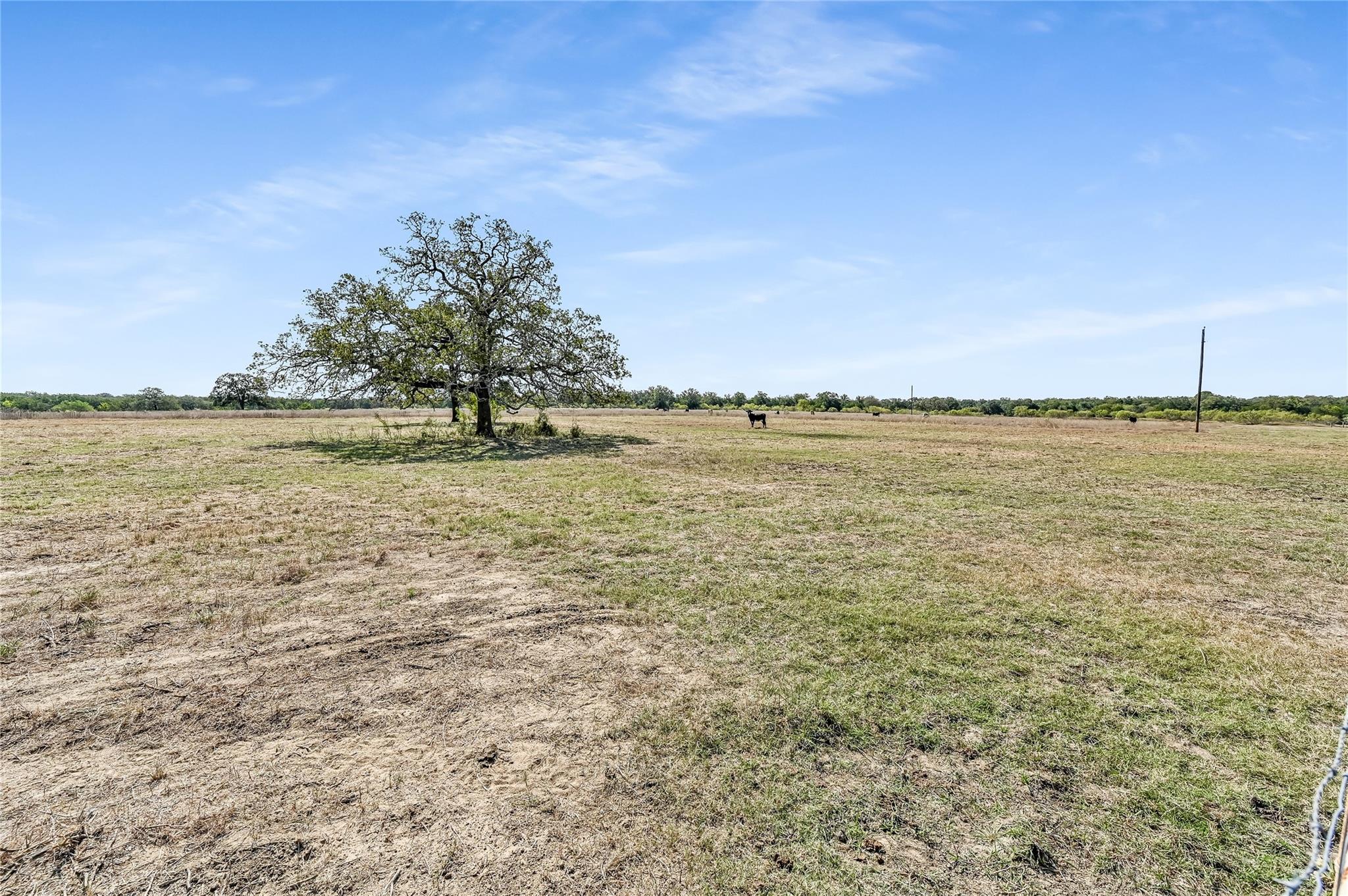 5637 Jeddo Rd, Waelder, TX 78959