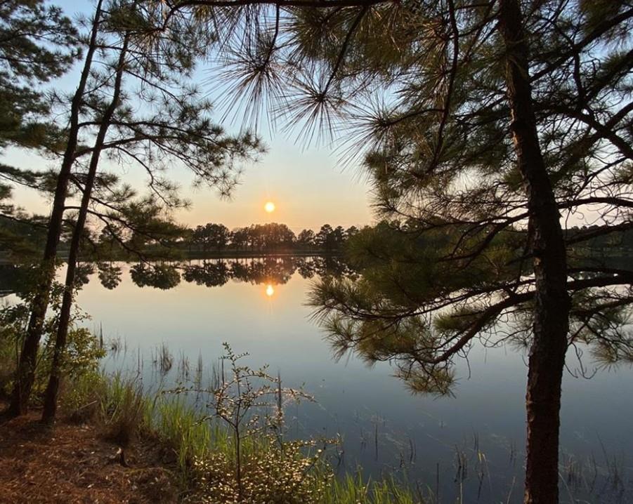 124 Pony Grass Ln, Bastrop, TX 78602