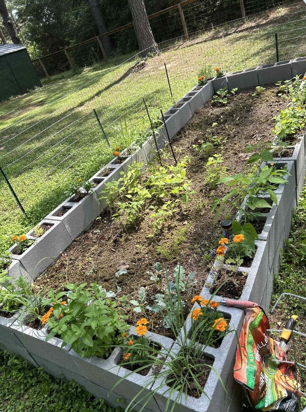 124 Pony Grass Ln, Bastrop, TX 78602