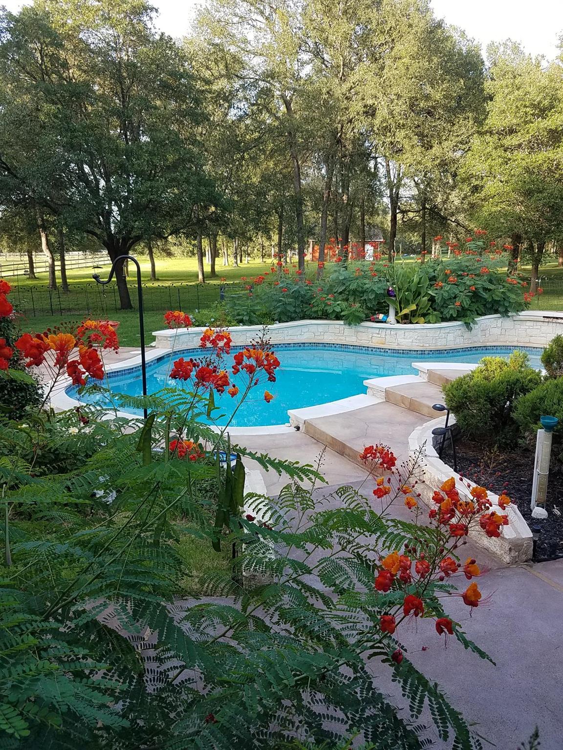 317 Colorado Dr, Cedar Creek, TX 78612