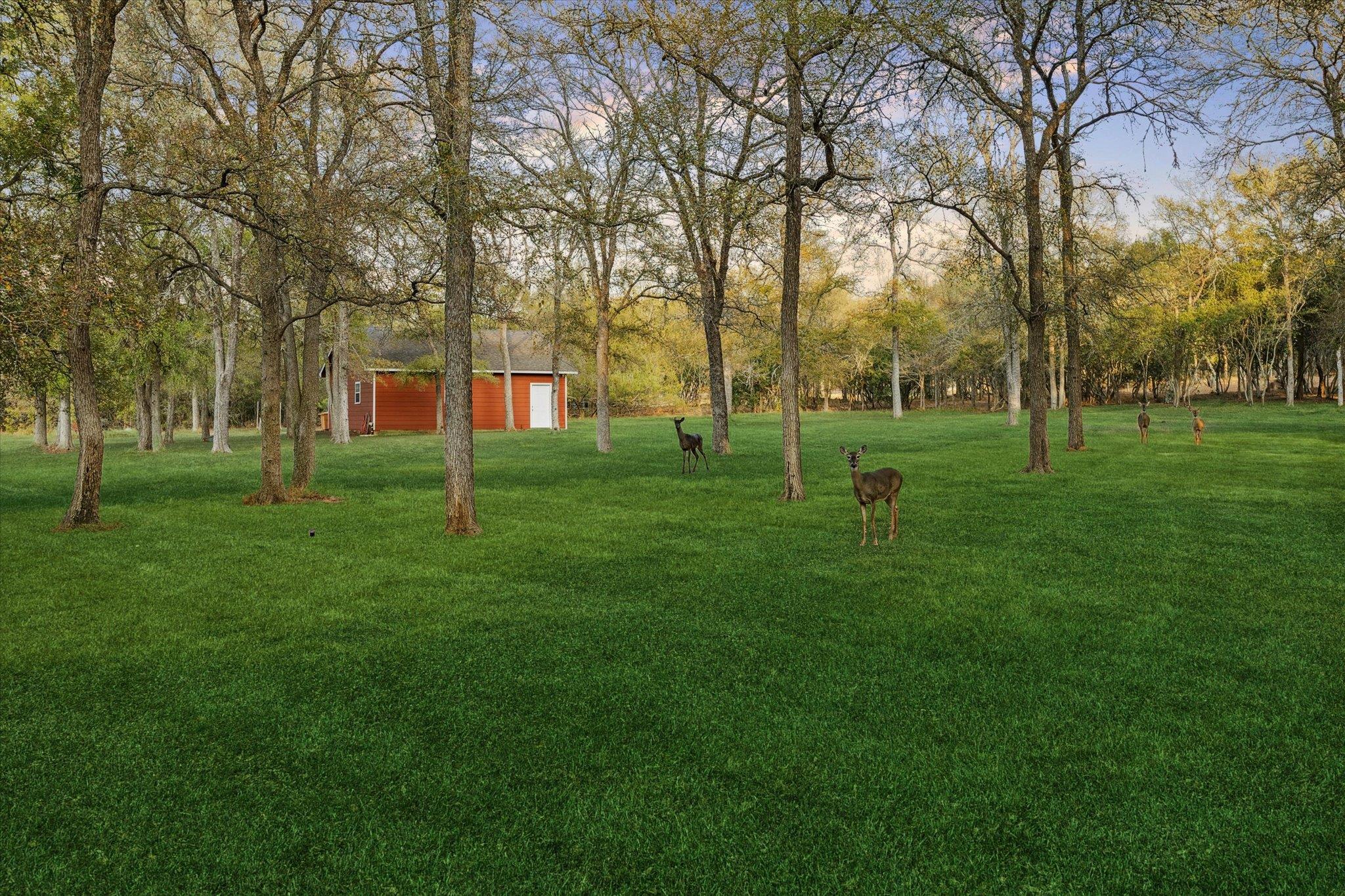 317 Colorado Dr, Cedar Creek, TX 78612