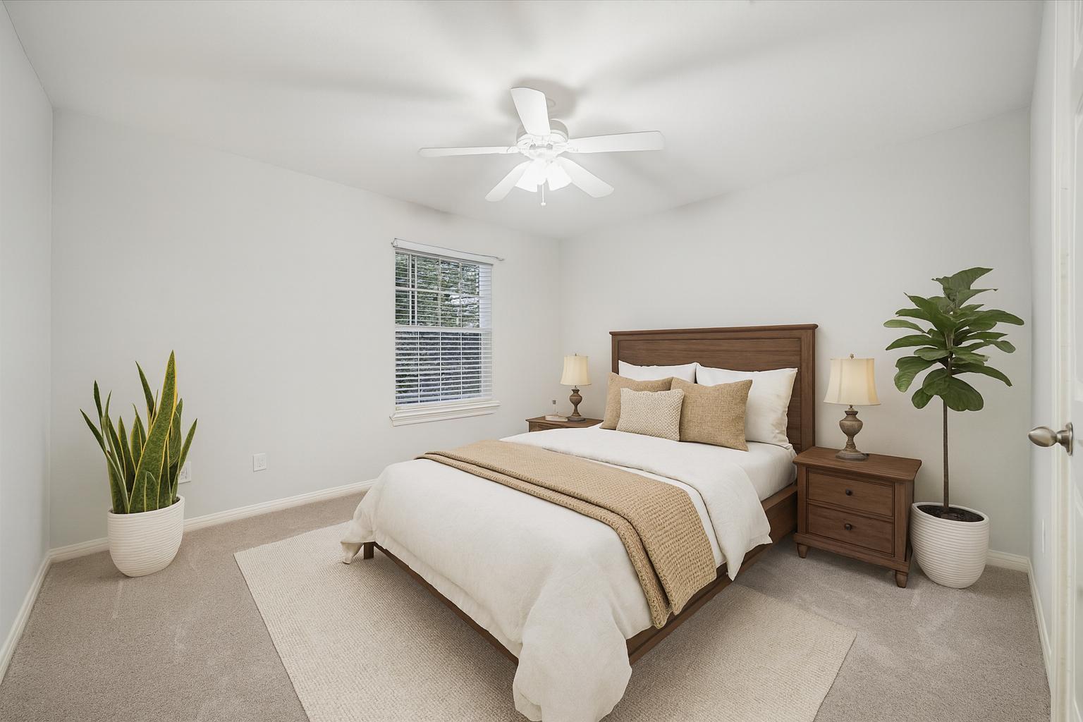 317 Colorado Dr, Cedar Creek, TX 78612