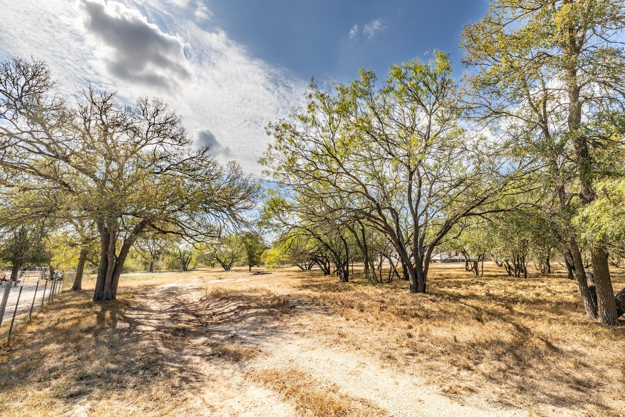 133 Wright Dr, Cedar Creek, TX 78612