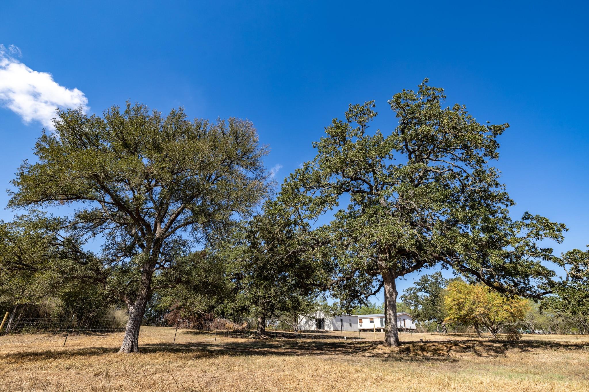 133 Wright Dr, Cedar Creek, TX 78612