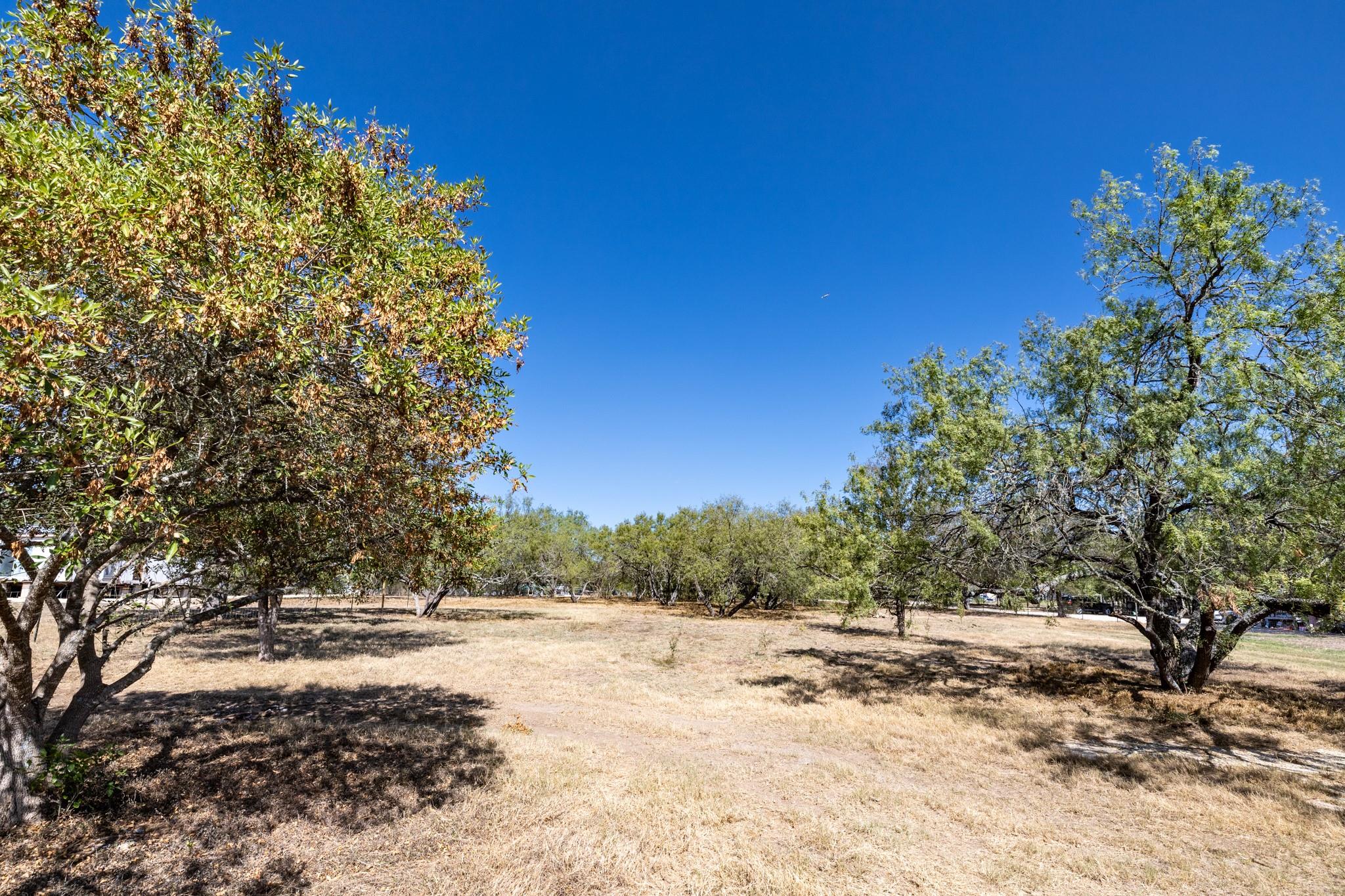 133 Wright Dr, Cedar Creek, TX 78612