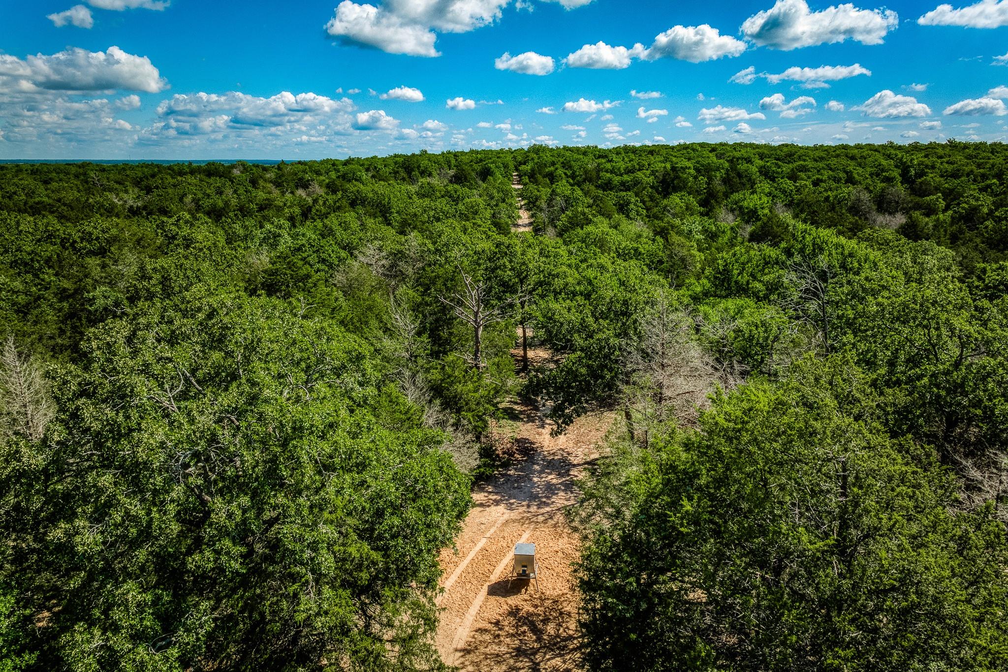 511 Lcr 793, Groesbeck, TX 76642
