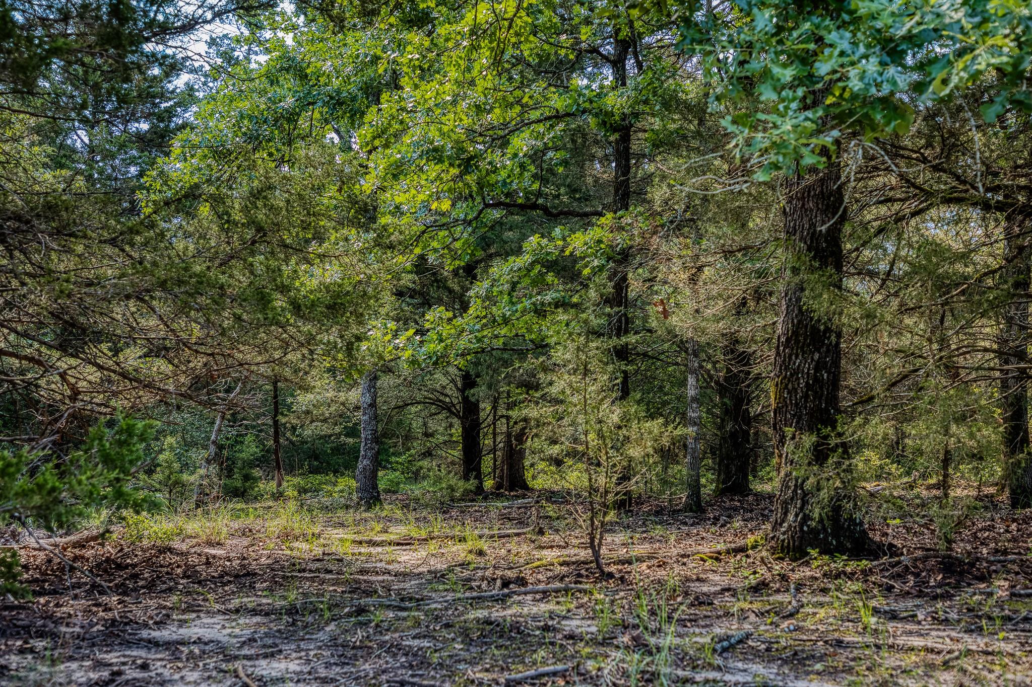 511 Lcr 793, Groesbeck, TX 76642