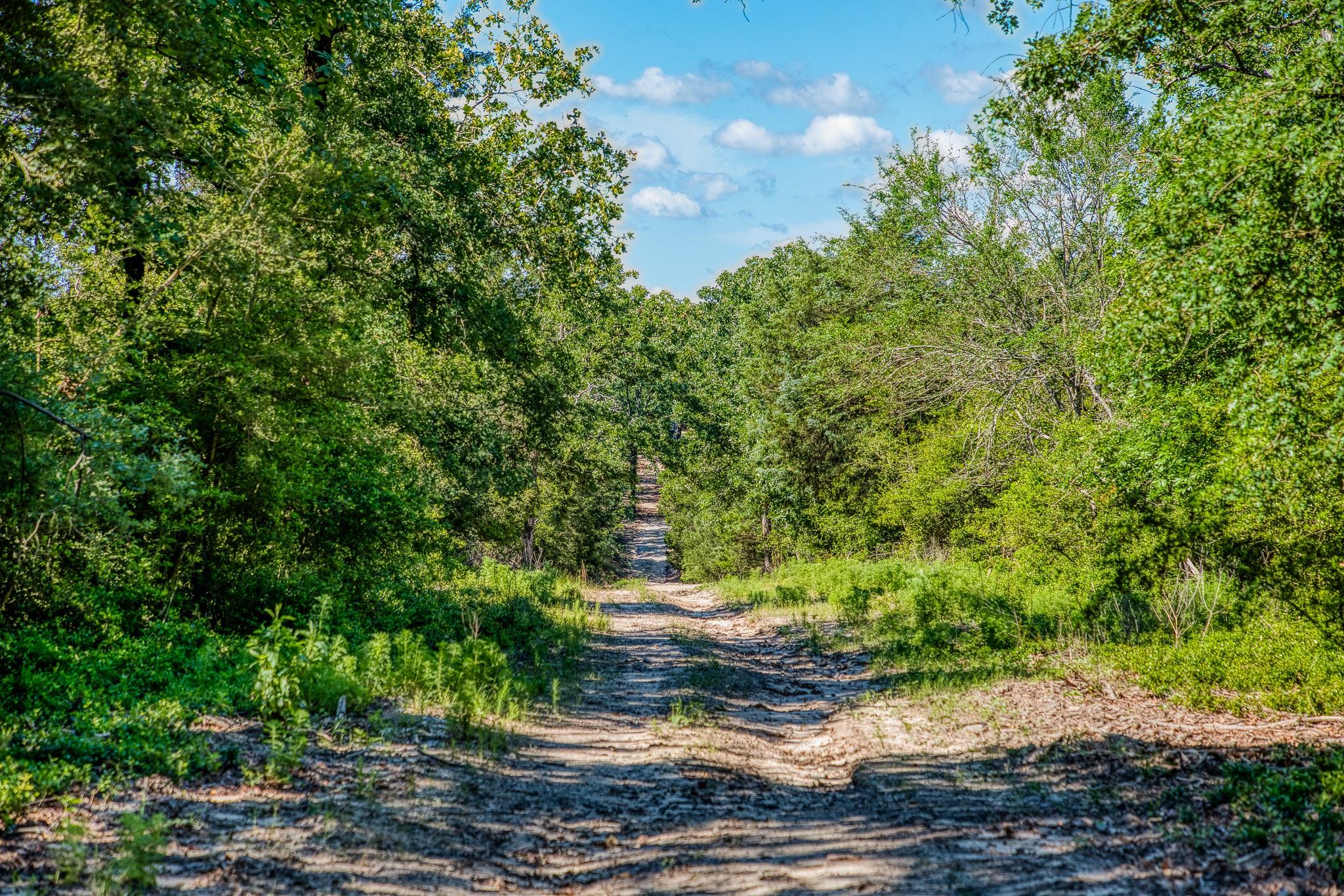 511 Lcr 793, Groesbeck, TX 76642