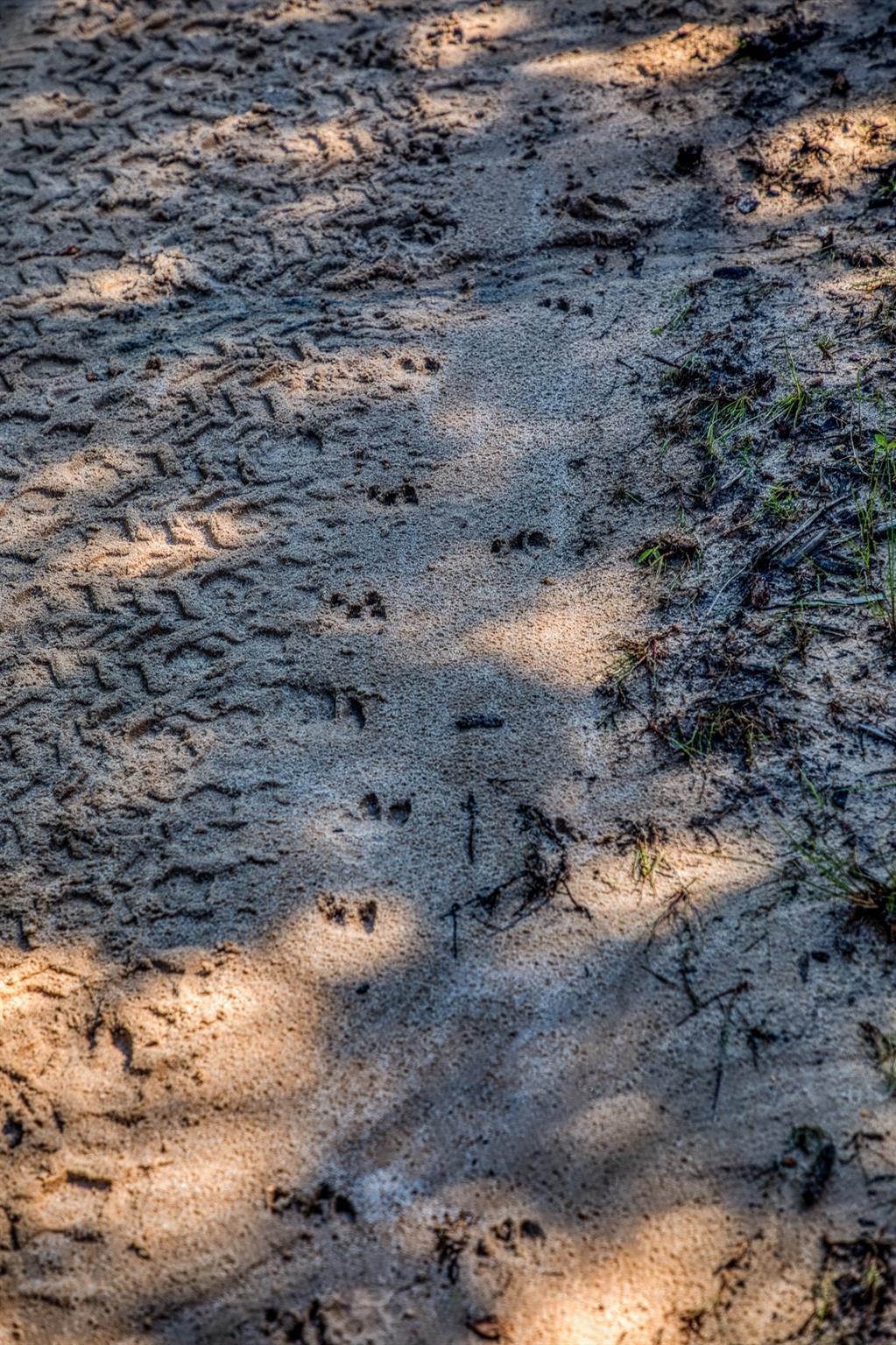 511 Lcr 793, Groesbeck, TX 76642