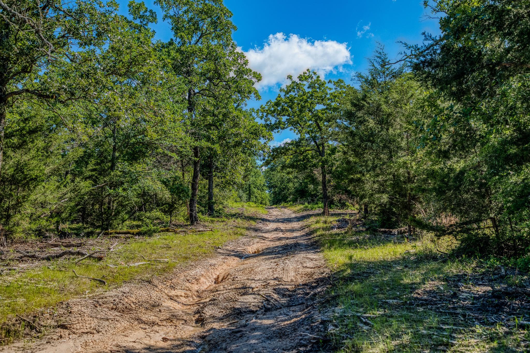 511 Lcr 793, Groesbeck, TX 76642