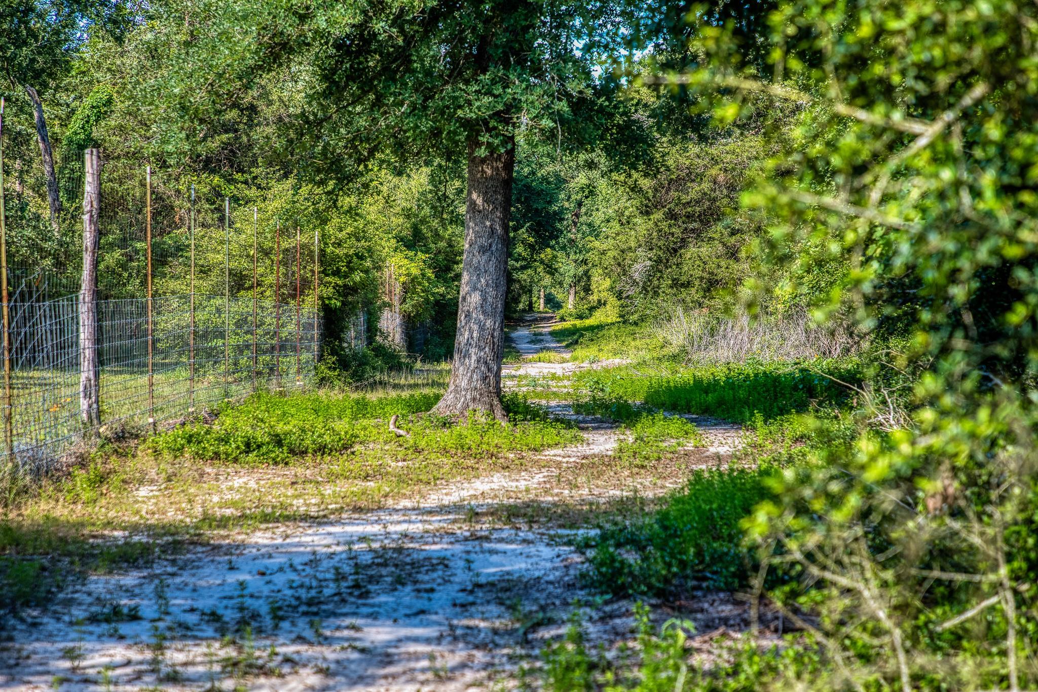 511 Lcr 793, Groesbeck, TX 76642