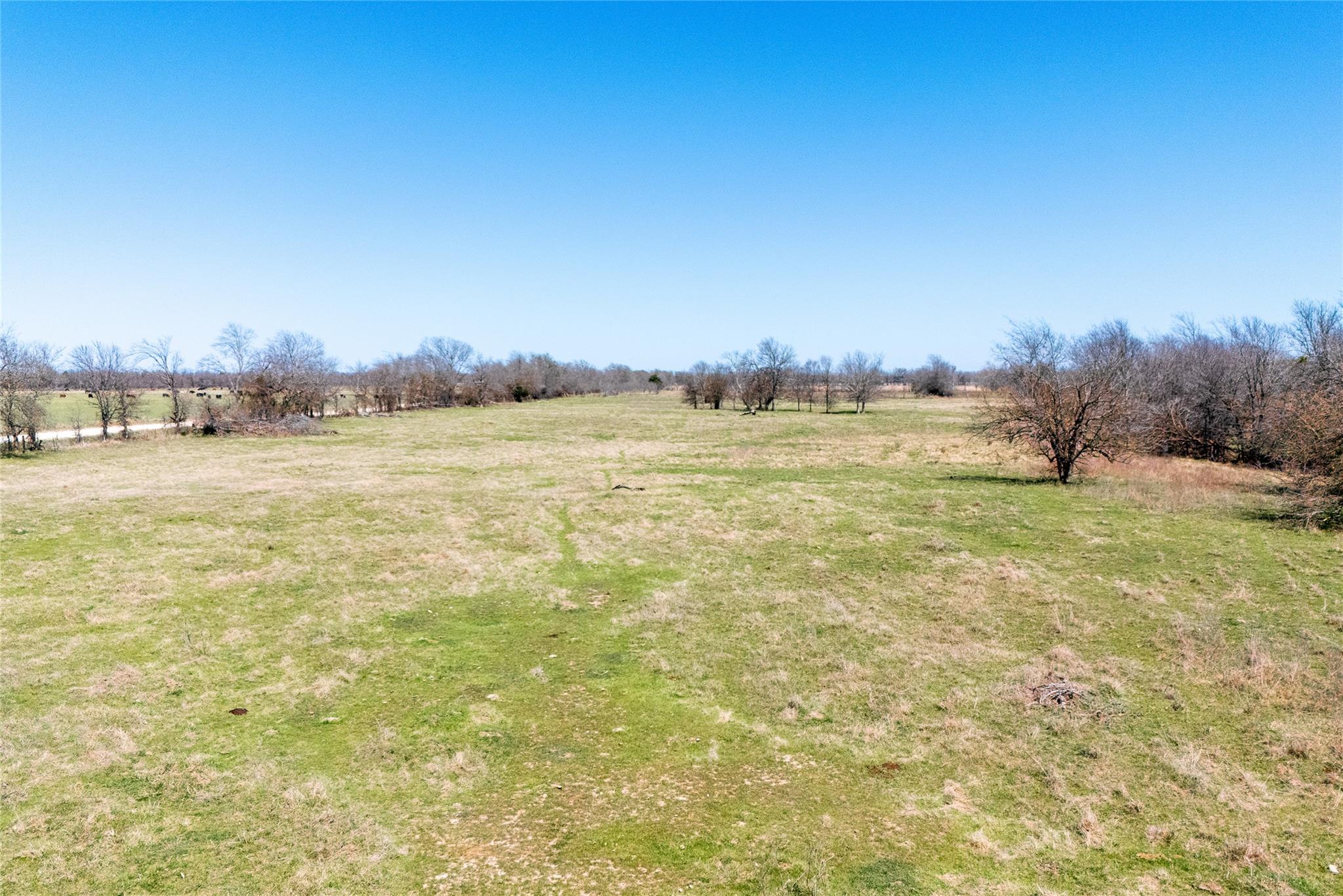 Lot 1 N 7th St, Rosebud, TX 76570