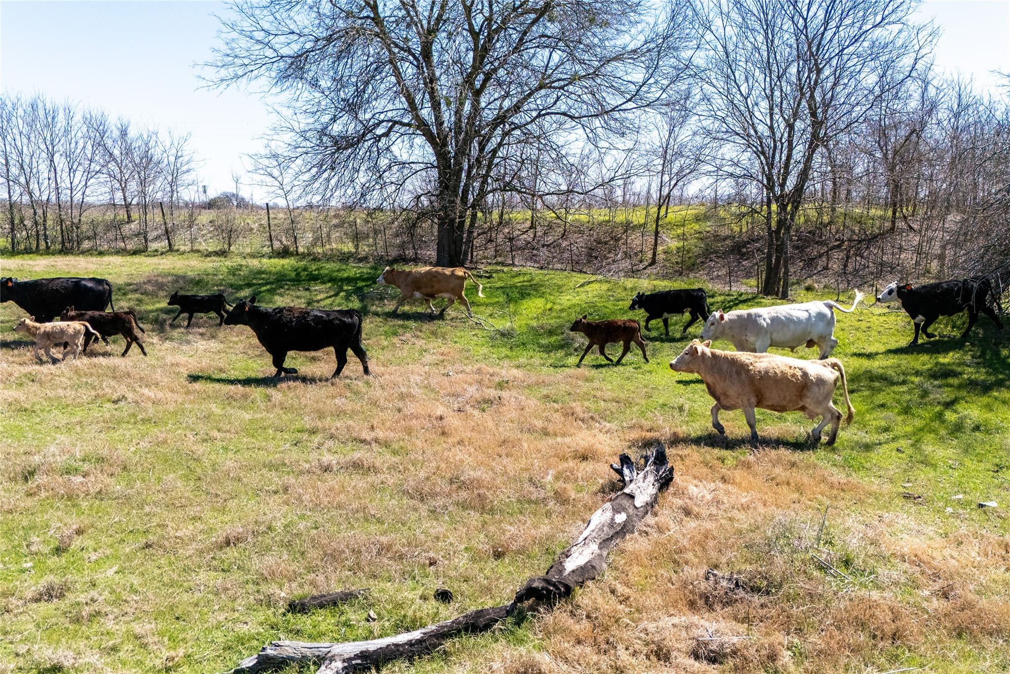 Lot 1 N 7th Highway, Rosebud, TX 76570