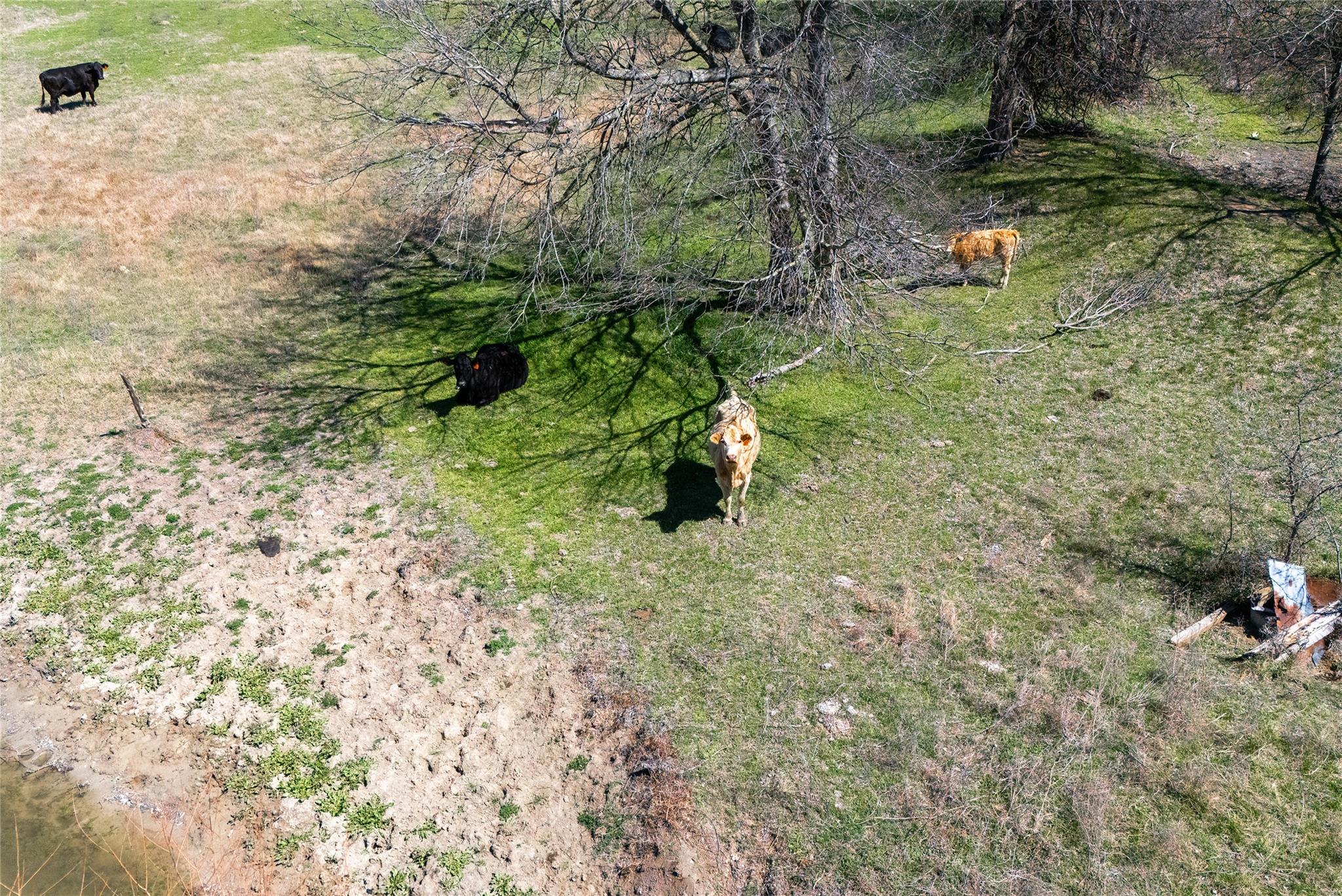 Lot 1 N 7th Highway, Rosebud, TX 76570