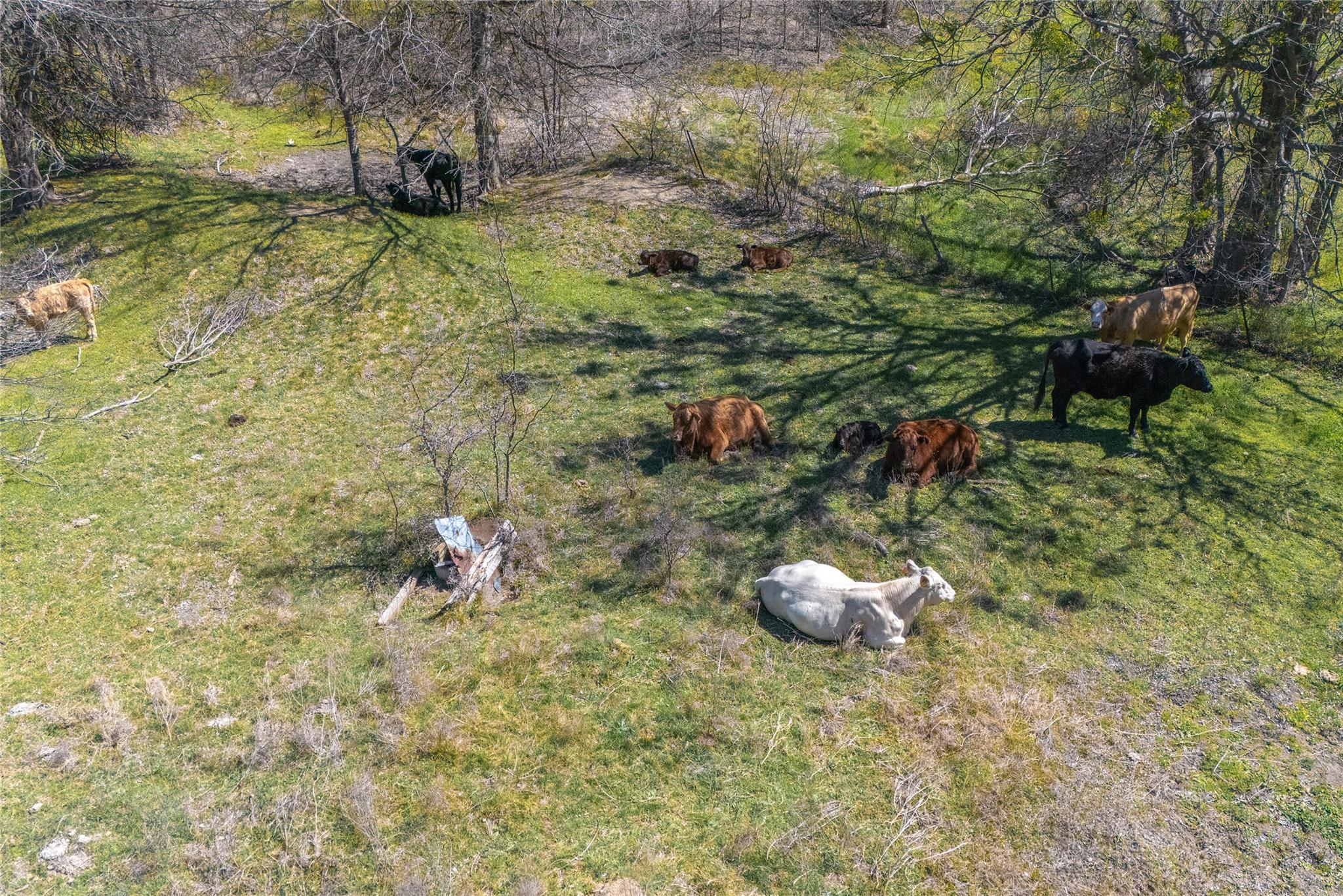 Lot 1 N 7th Highway, Rosebud, TX 76570