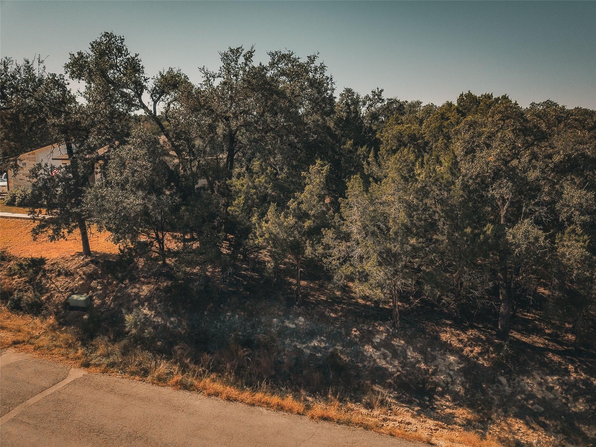 21703 Pope Dr, Leander, TX 78645