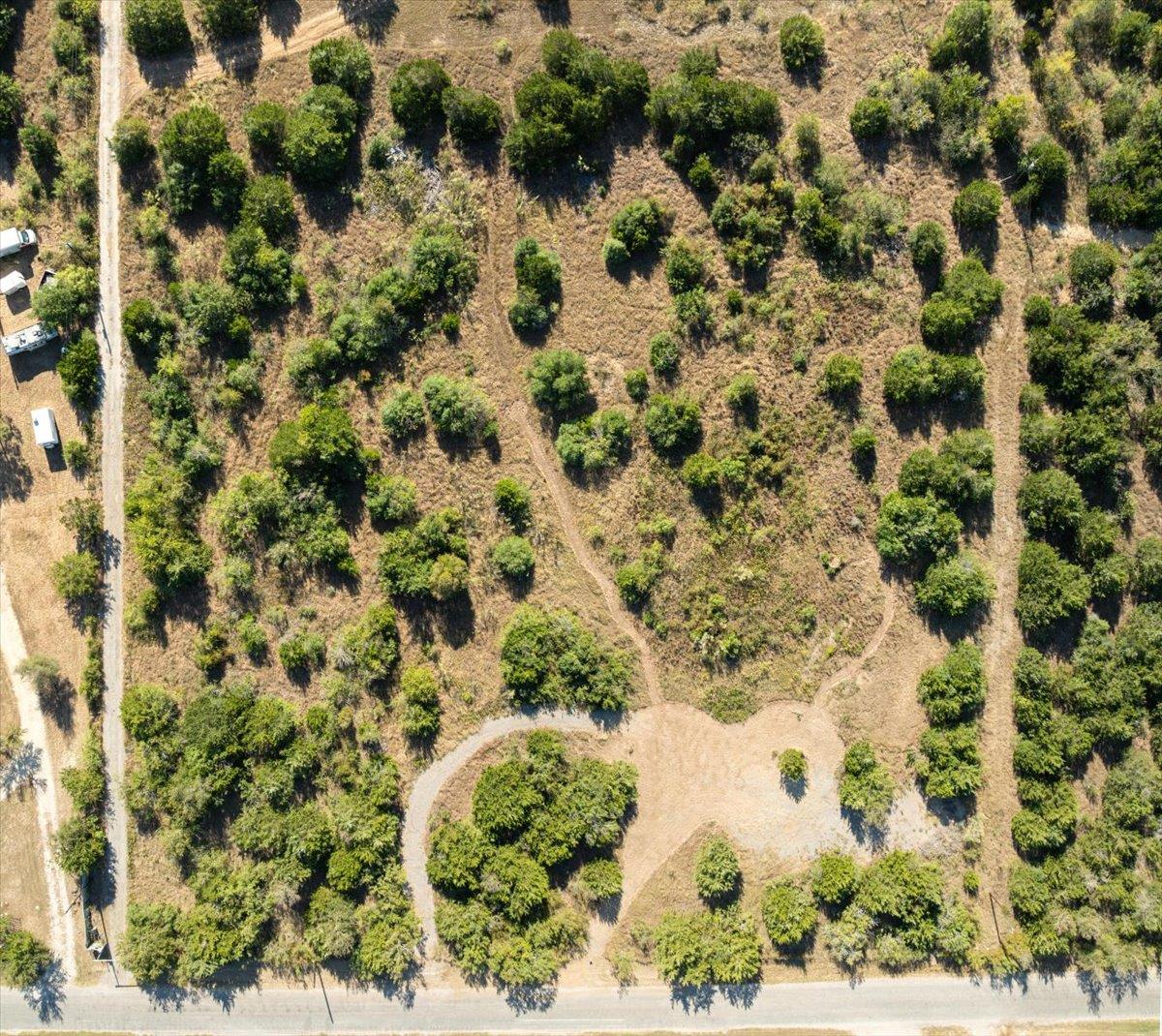 401 Spotted Horse Trl, Dale, TX 78616