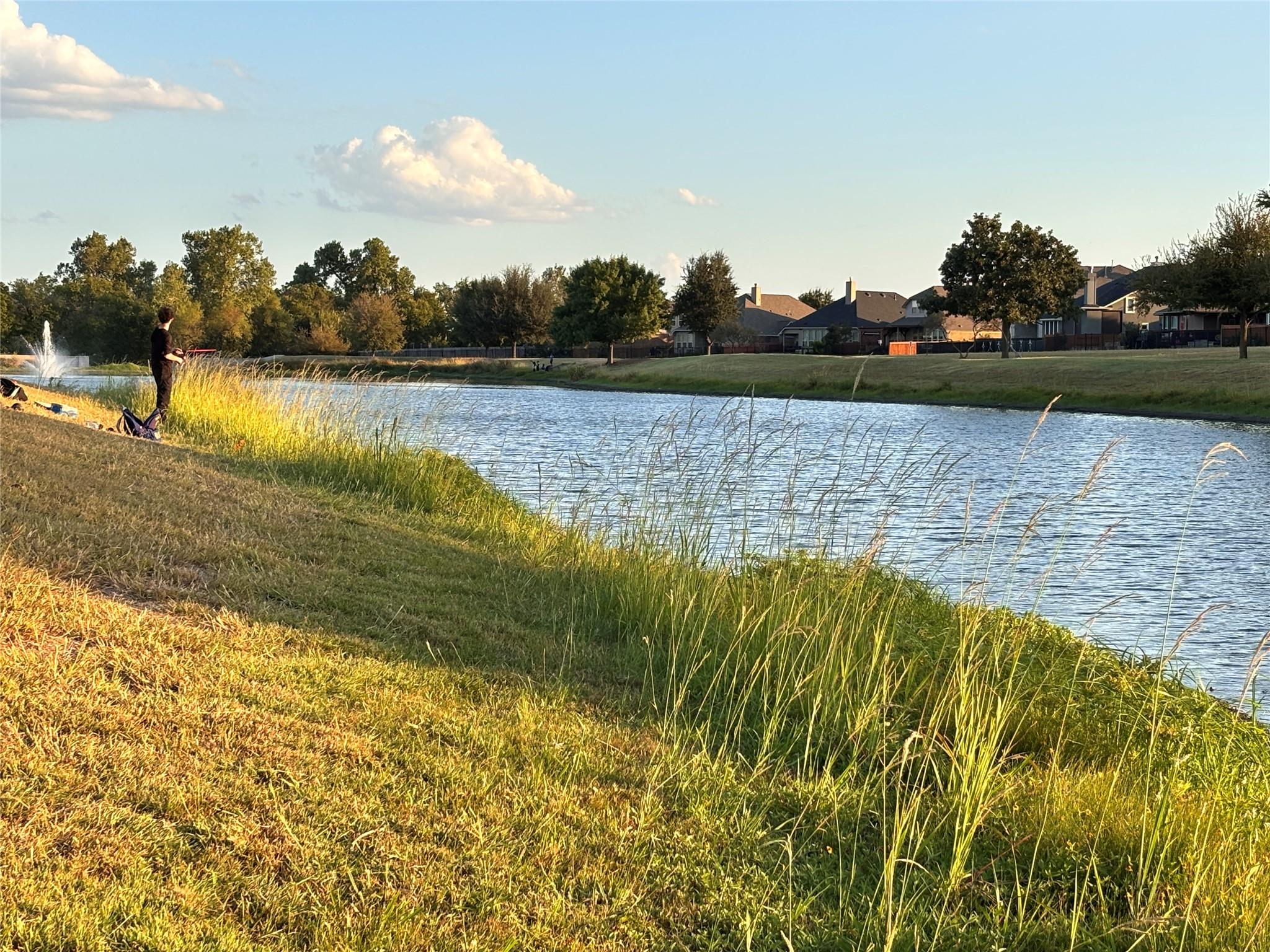 3113 Pasqueflower Pass, Pflugerville, TX 78660