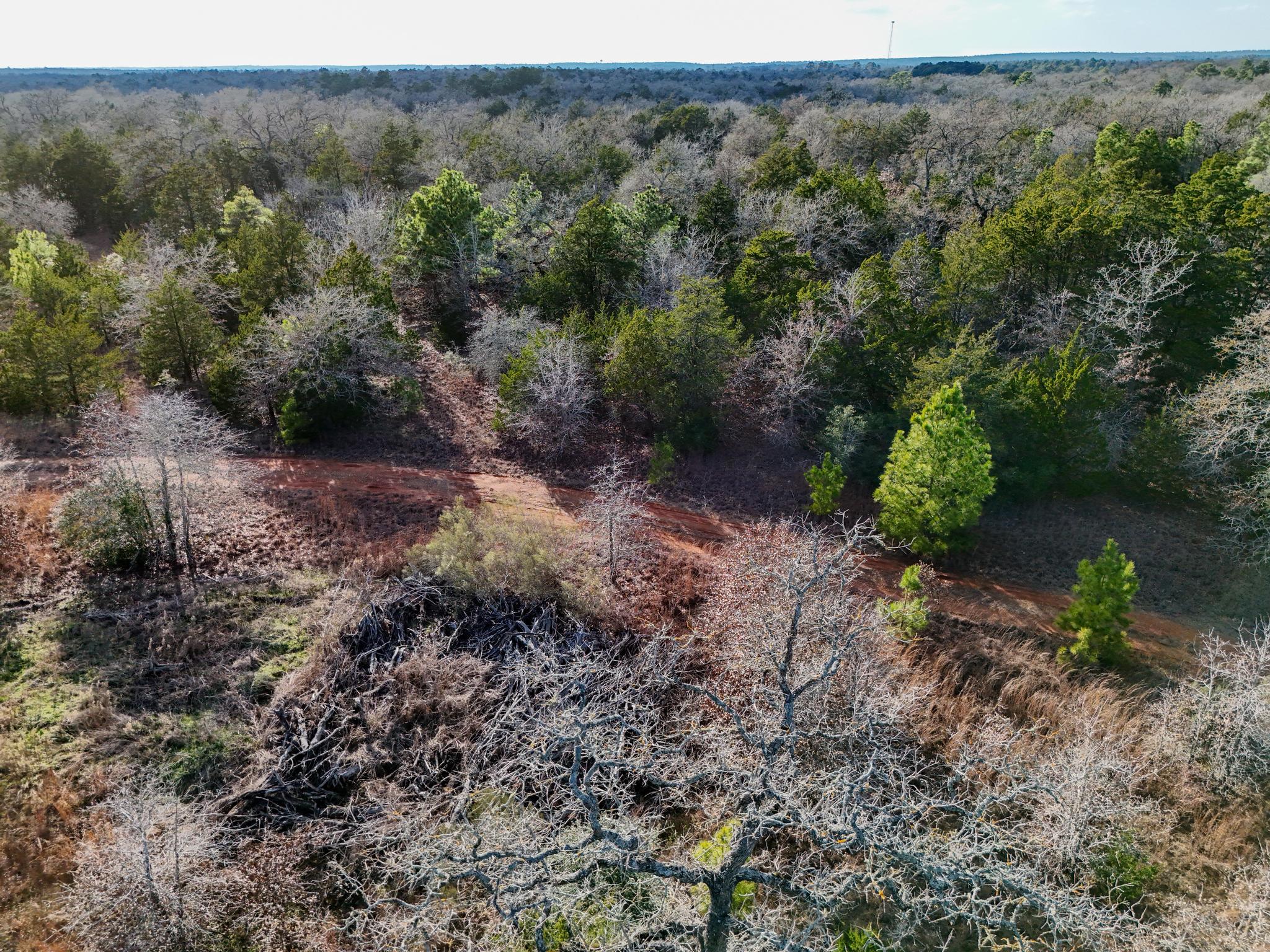 Lot 10 South Old Potato Rd, Paige, TX 78659