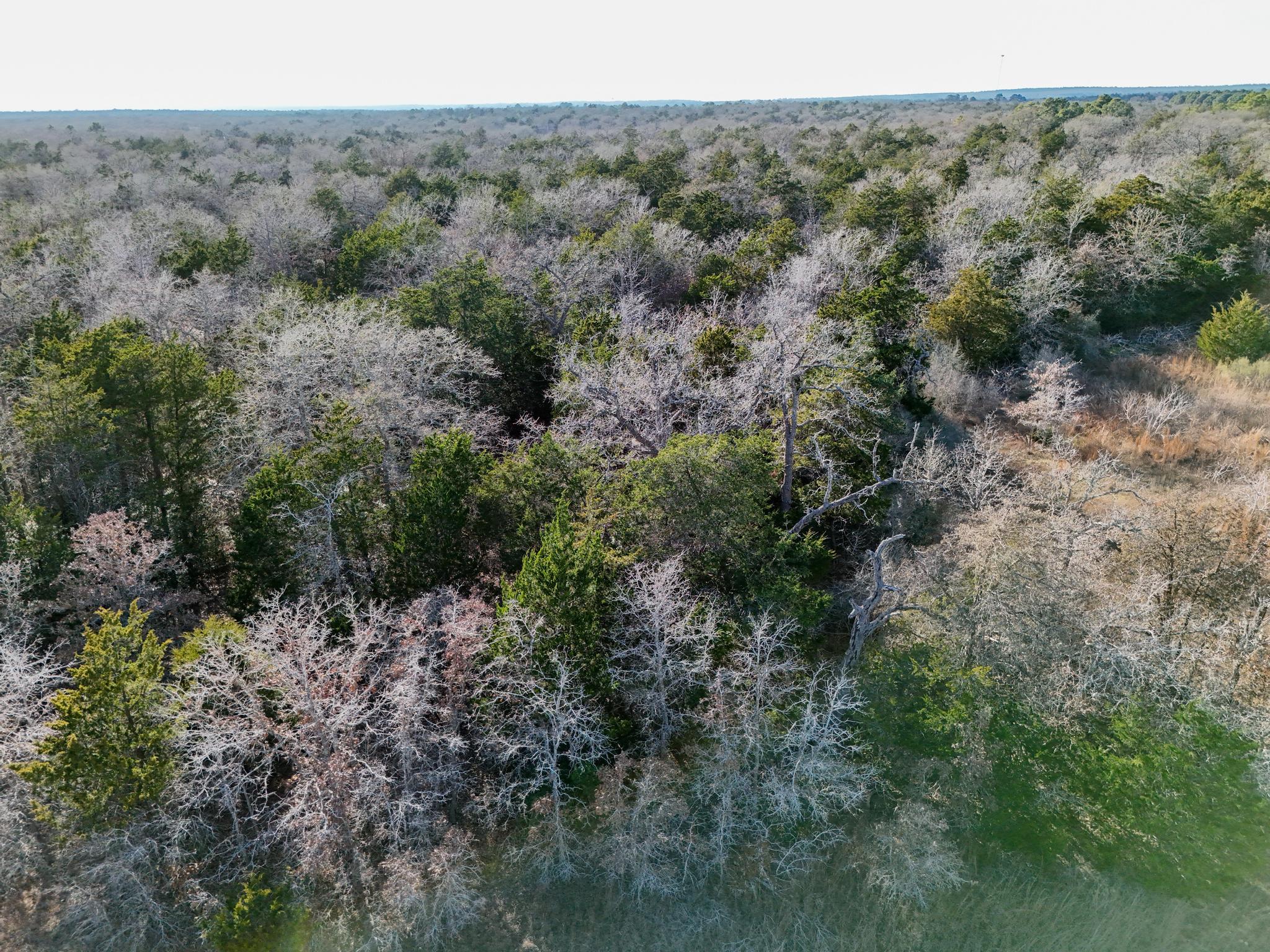 Lot 10 South Old Potato Rd, Paige, TX 78659