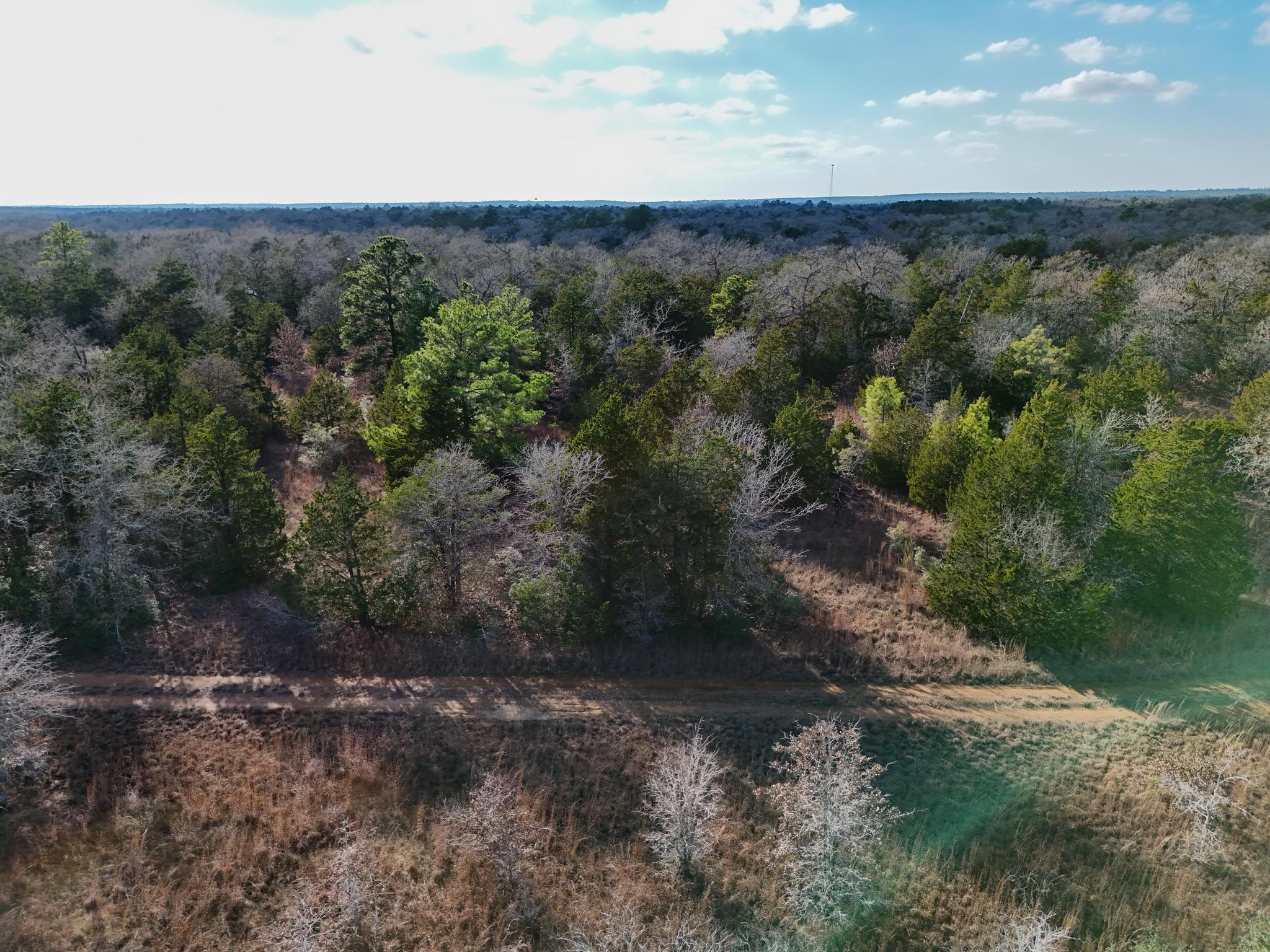 Lot 10 South Old Potato Rd, Paige, TX 78659